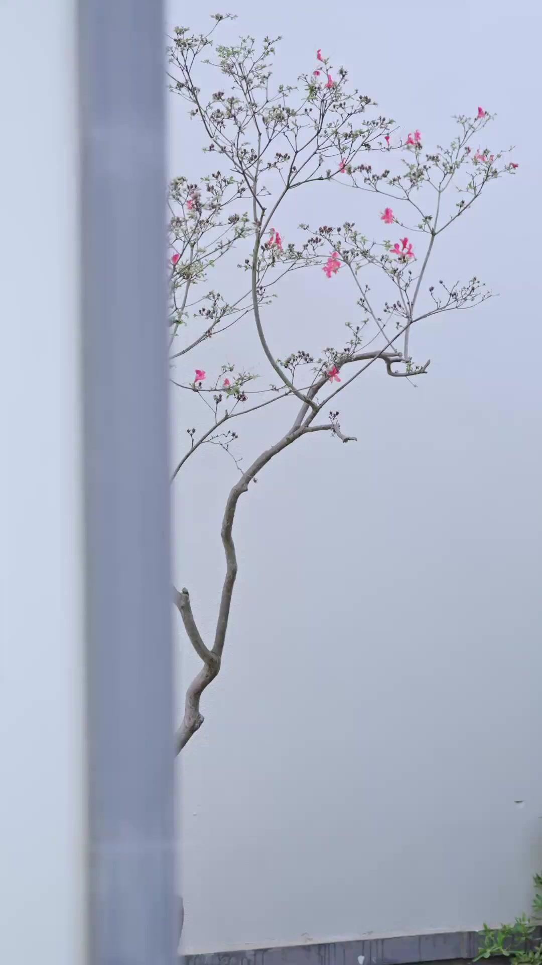 Yanlış Evlilik Doğru Aşk