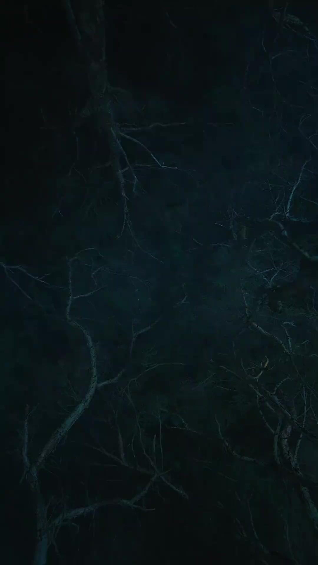 The Dead Wife Returns