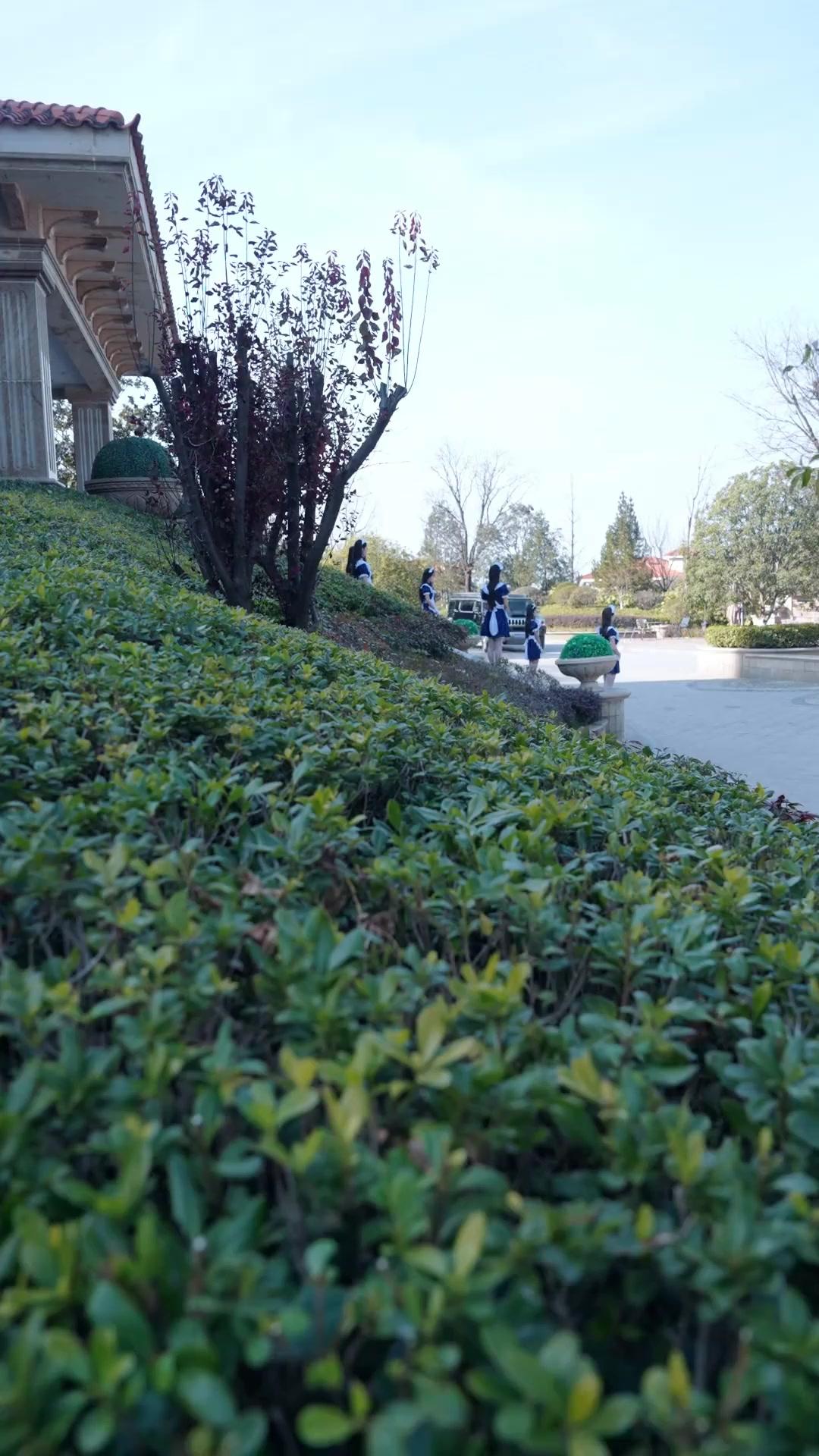 Dornröschen wach – Chefin im Bett