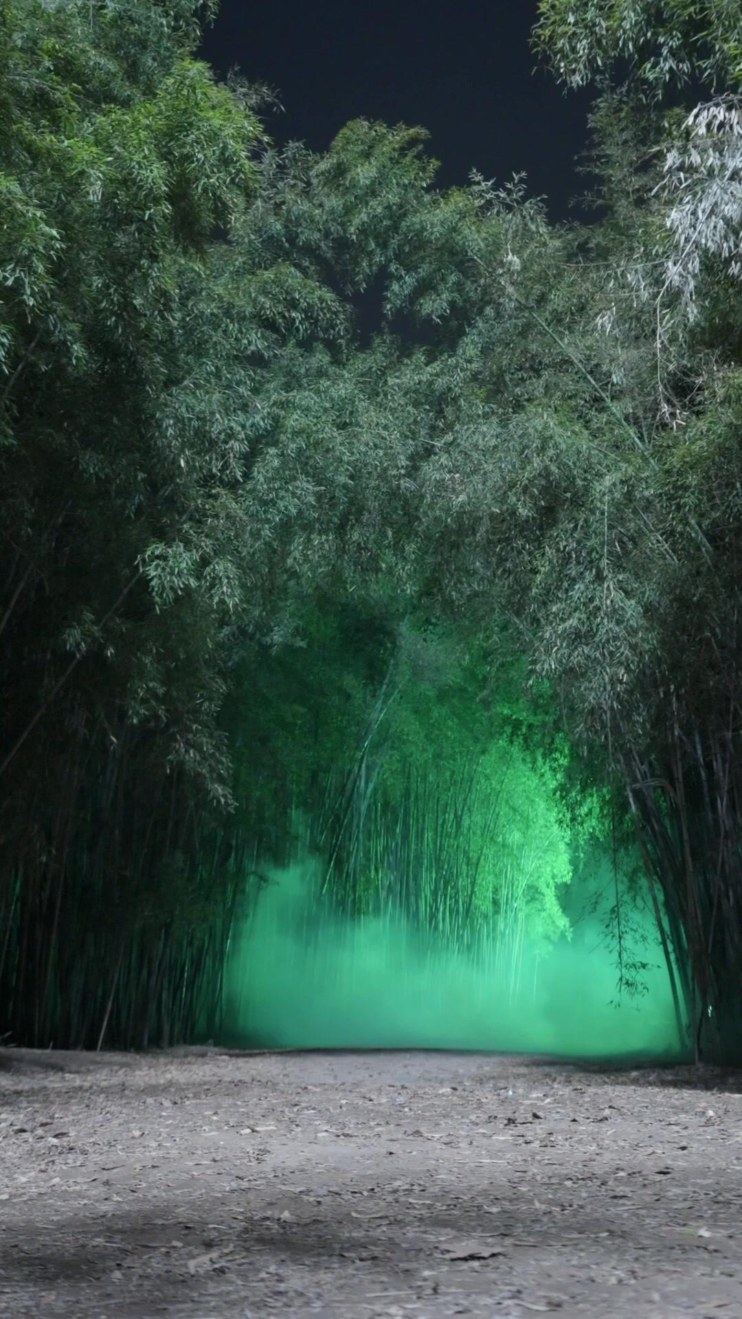 My Chubby Fairy-Like Wife