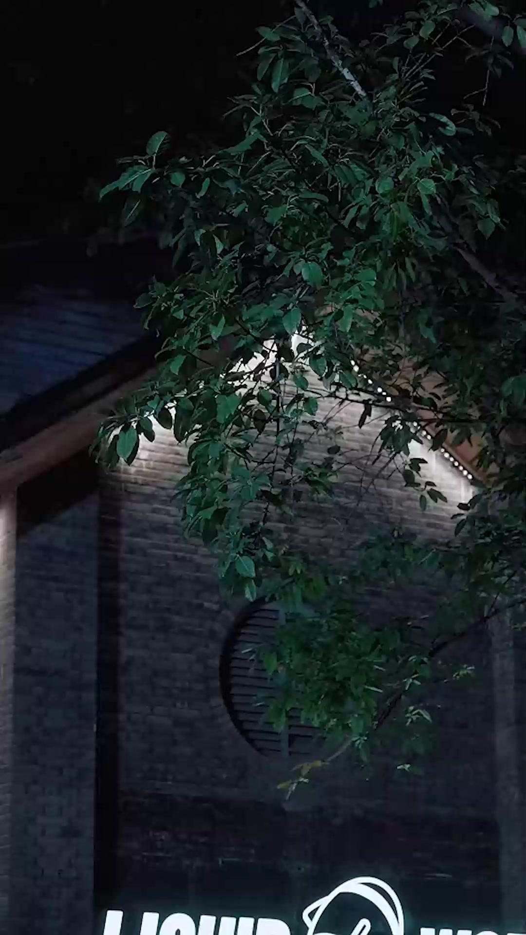 Ay Işığı Hala Parlak