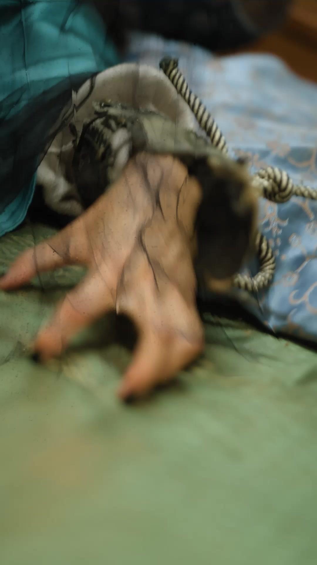 Foolish Young Master? I'm Fiend Lord!