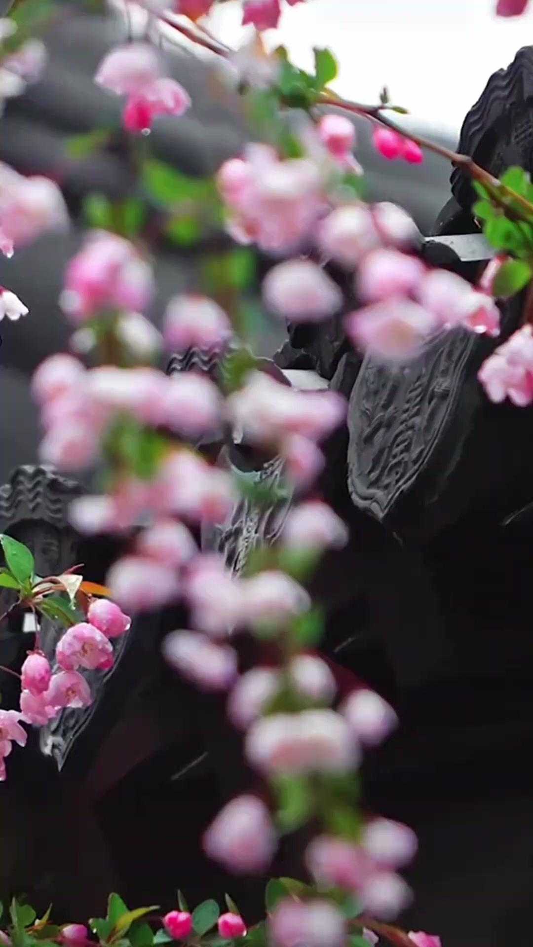 เปิดตำราสยบสวามี