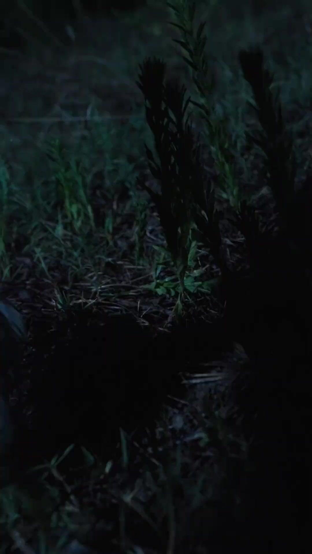 Dendam yang Tak Terlampiaskan