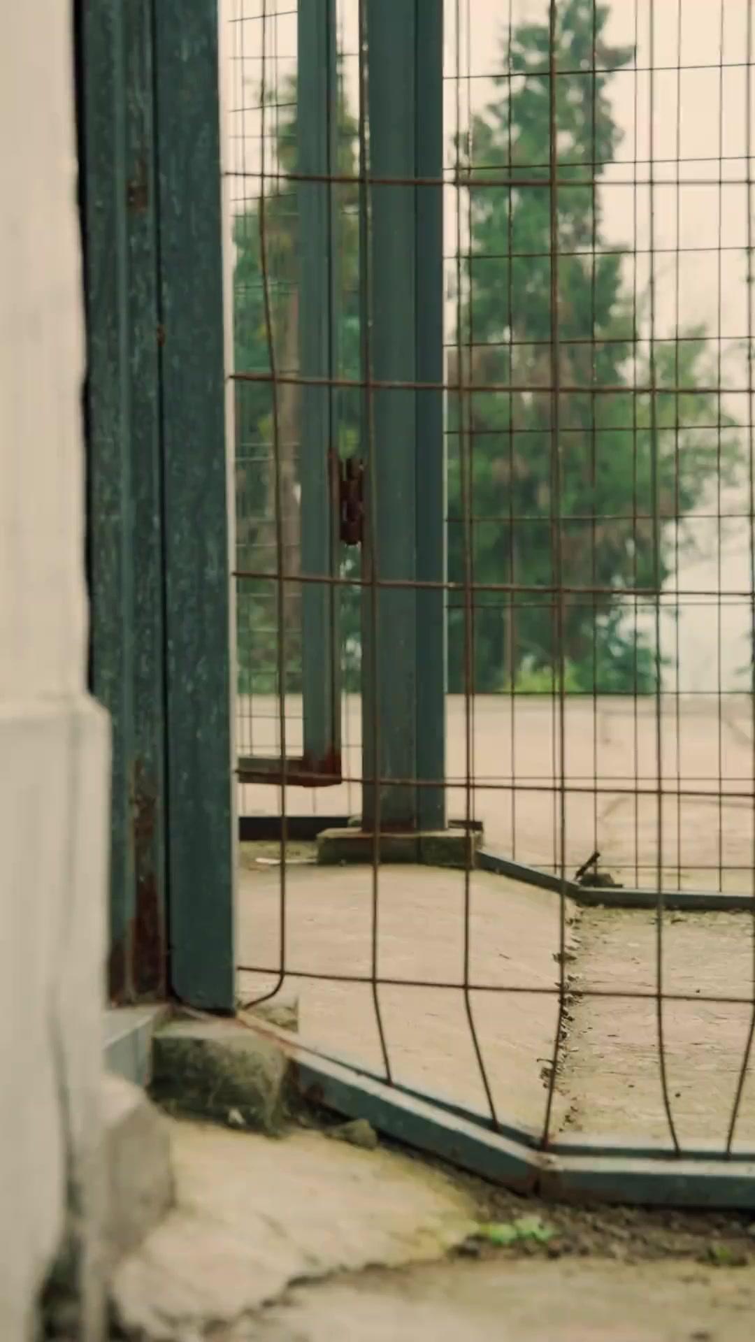 La Madre nel Labirinto del Racket