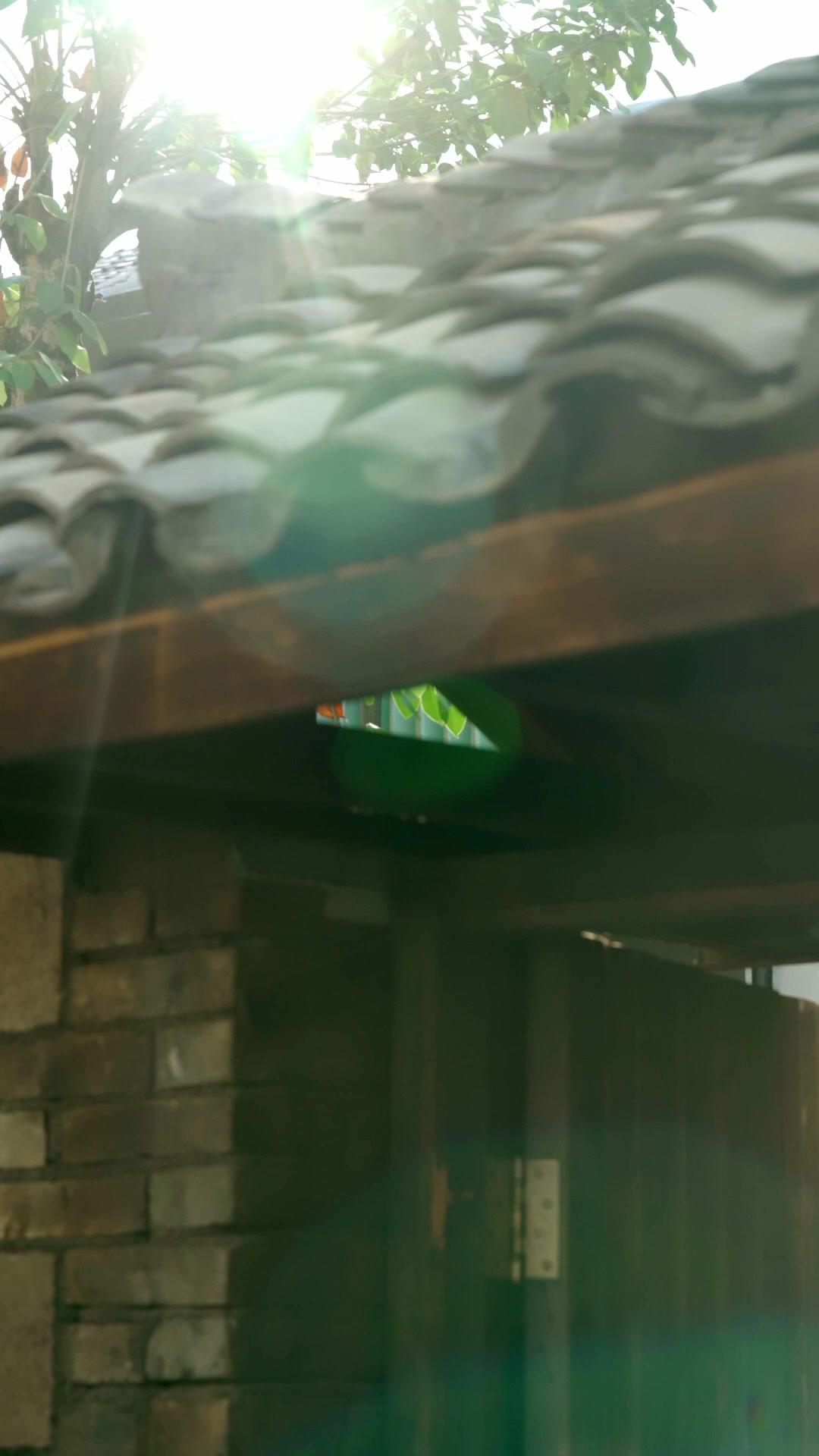 ชาตินี้ฉันจะเอาคืนผัวเก่าให้สาสม