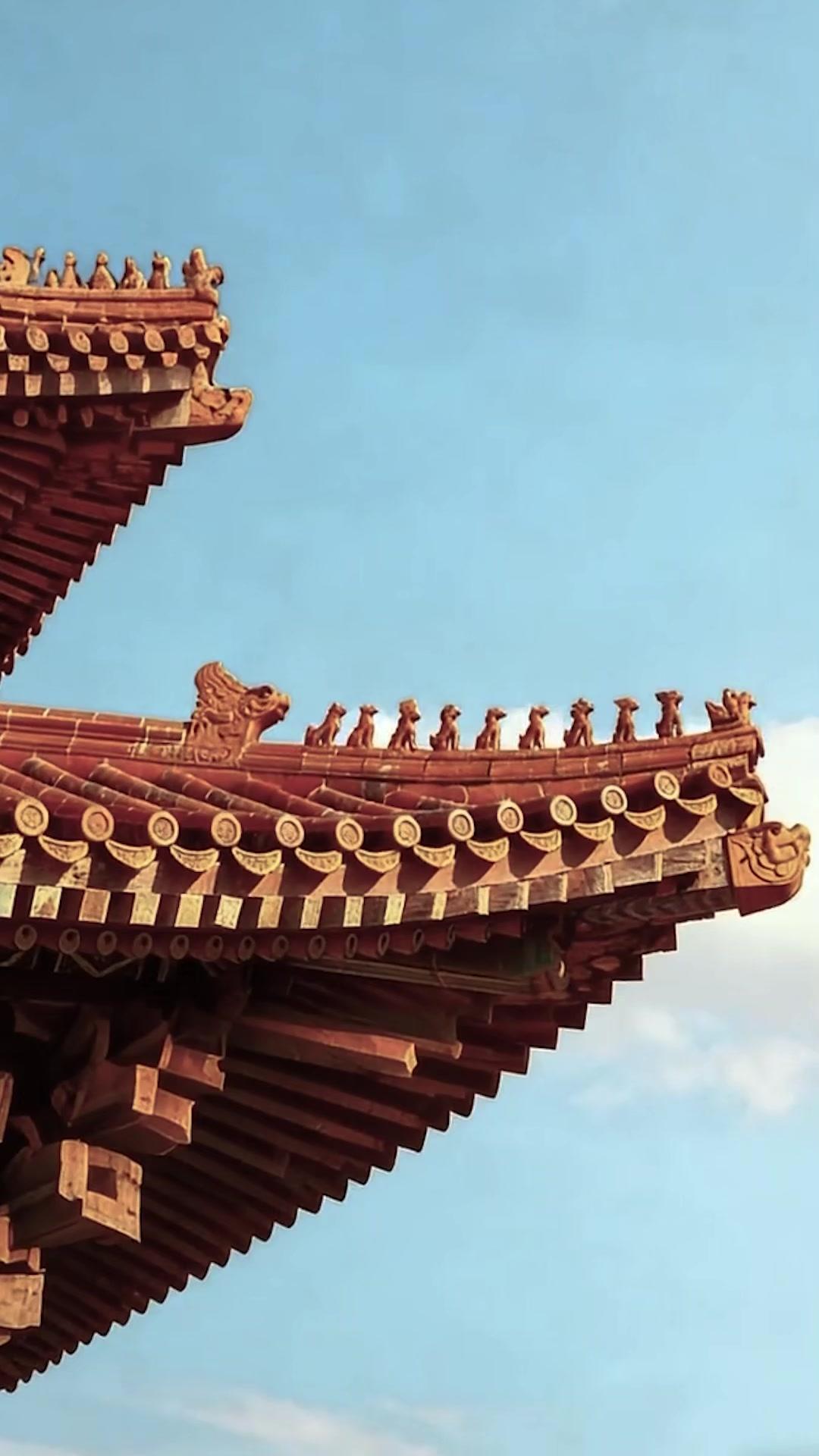 巾幗蒼龍：替父从军