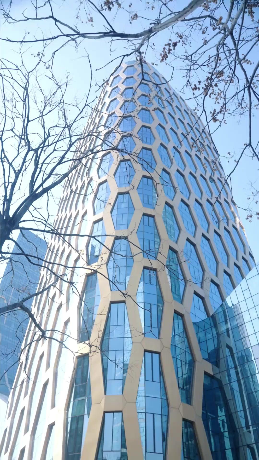 Trái Tim Lạc Lối