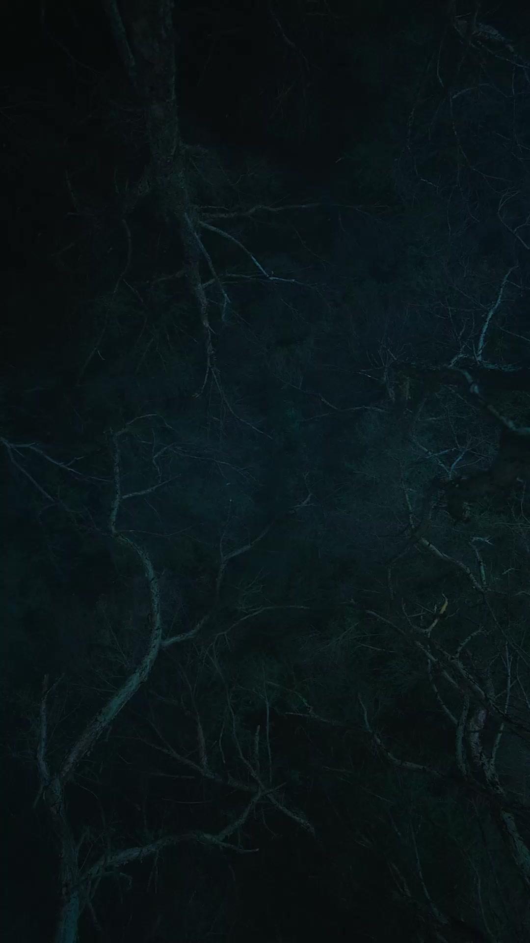 曉月歸來：奪回我的江山