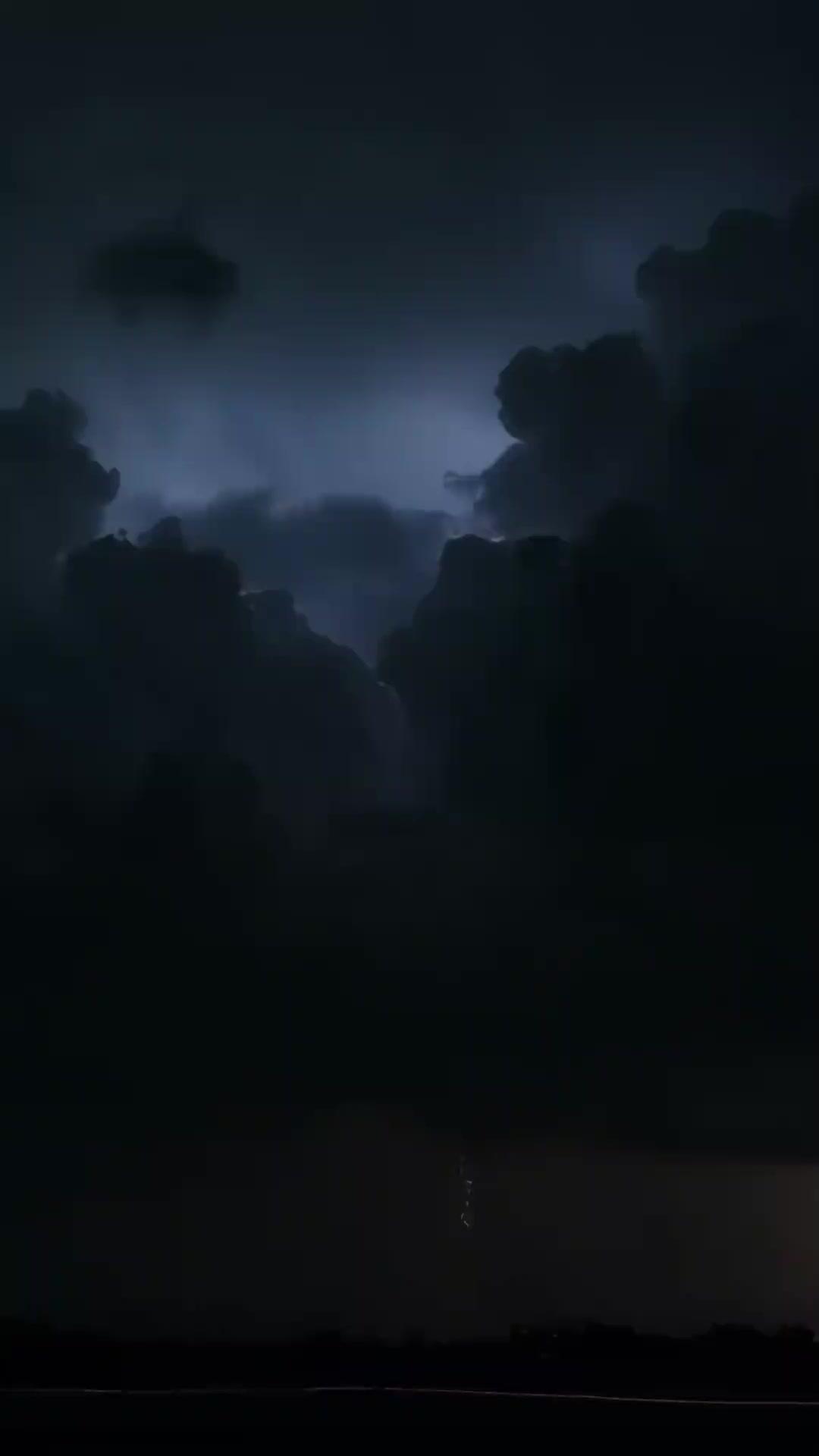 CLAIR DE LUNE SUR LES POIRIERS