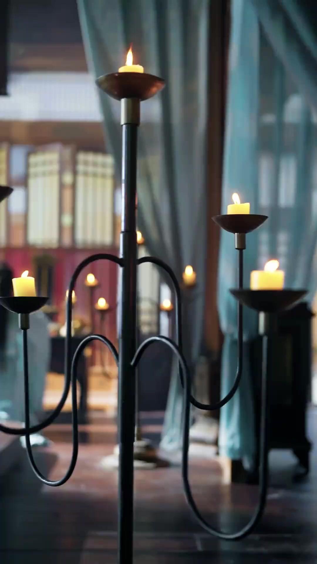 Küllerden Doğan İhtişam