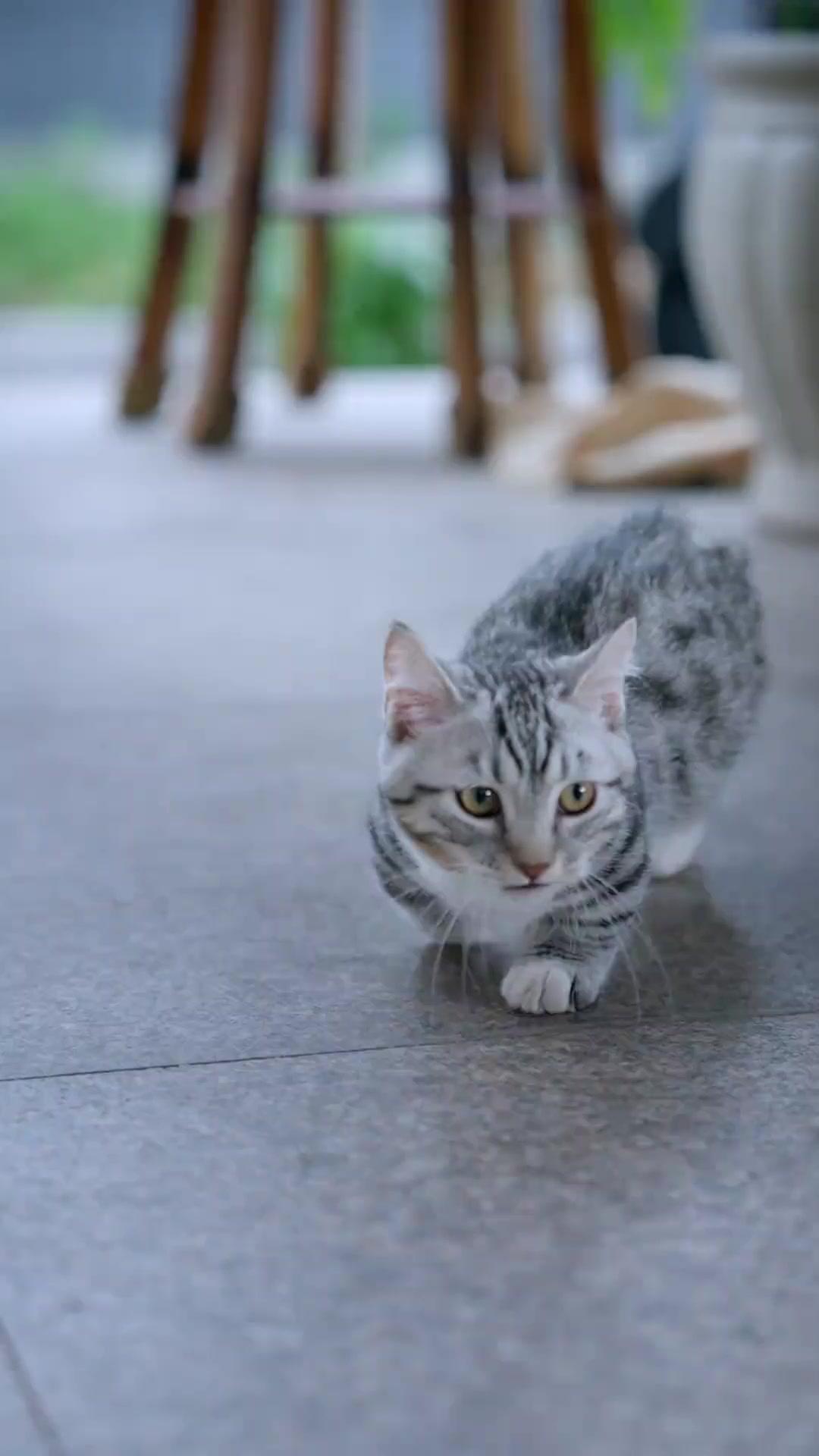 Anakku Tabib Penyelamat Negara 
