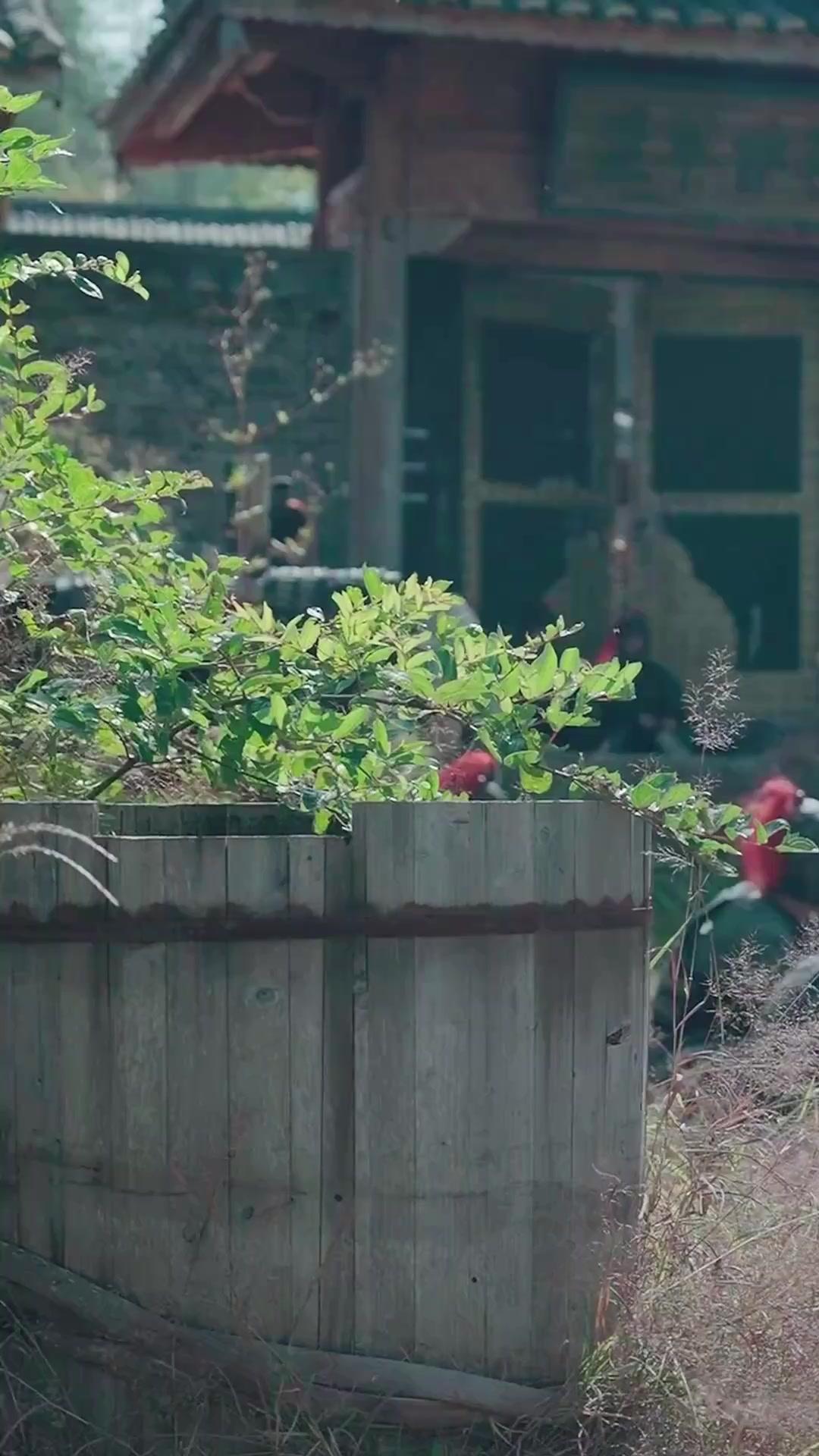 خطيئة العبور