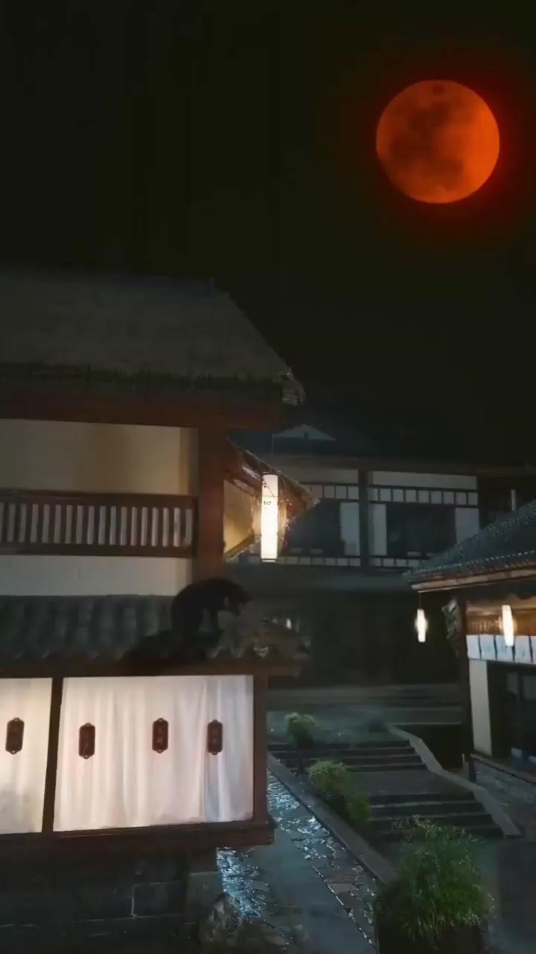  外界頂峰 30 級，我早已萬級封神