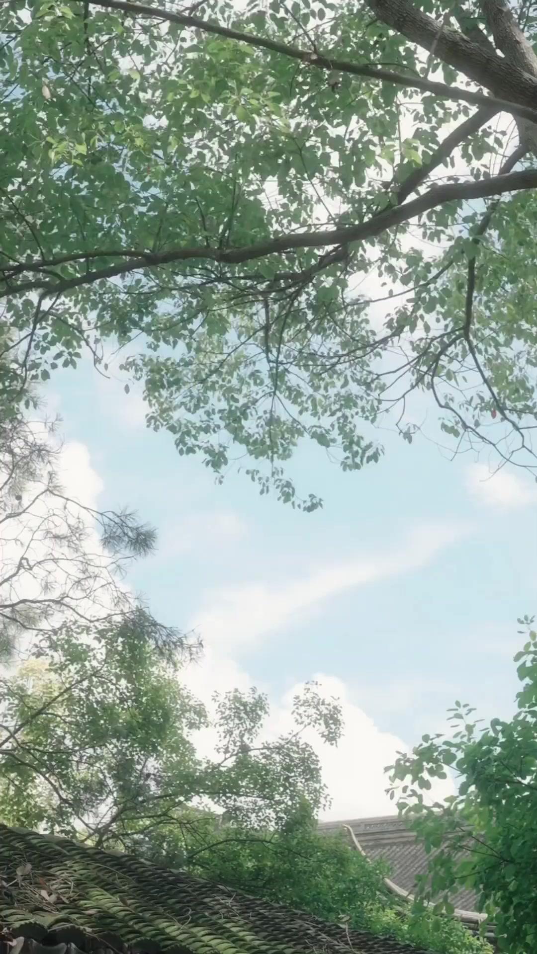 โชคชะตาพาเธอมาหาฉัน