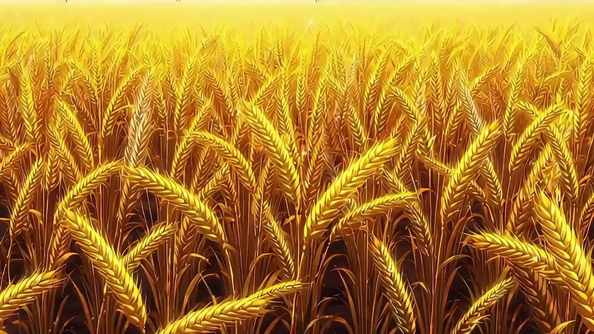 Hầm Trú Ẩn Ngày Tàn