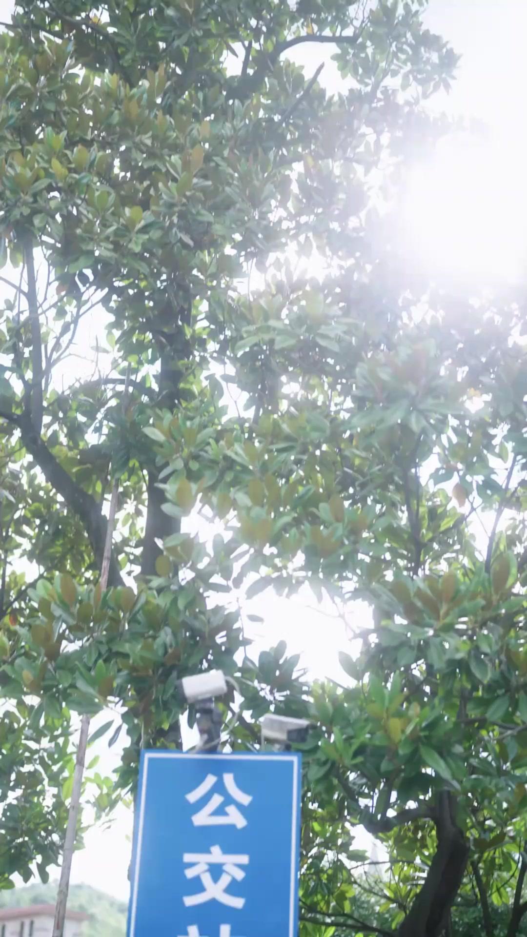 Takdirku dengan Raja Serigala!