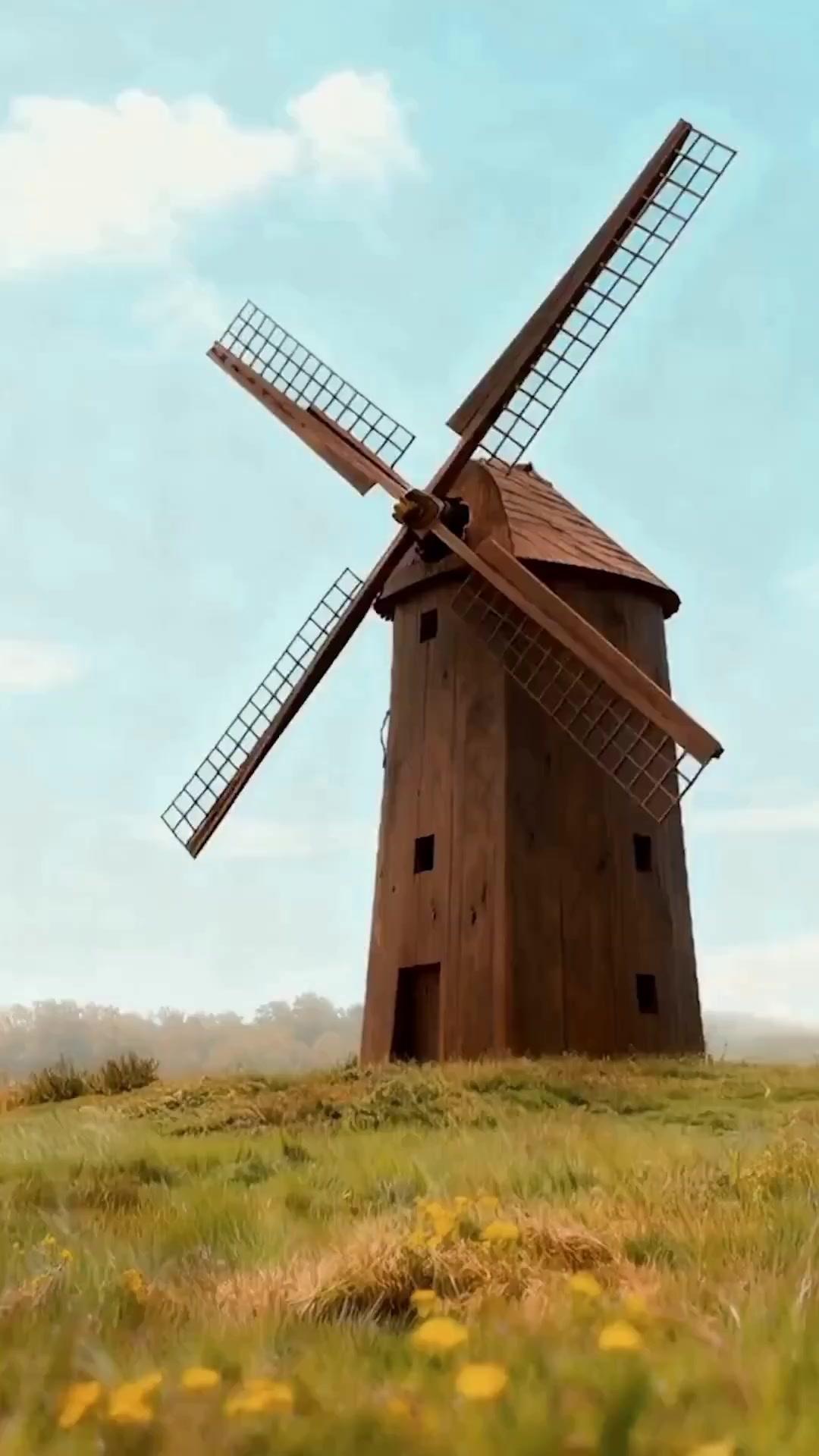 (吹き替え) 再会した幼馴染 感情の設定がバグってる