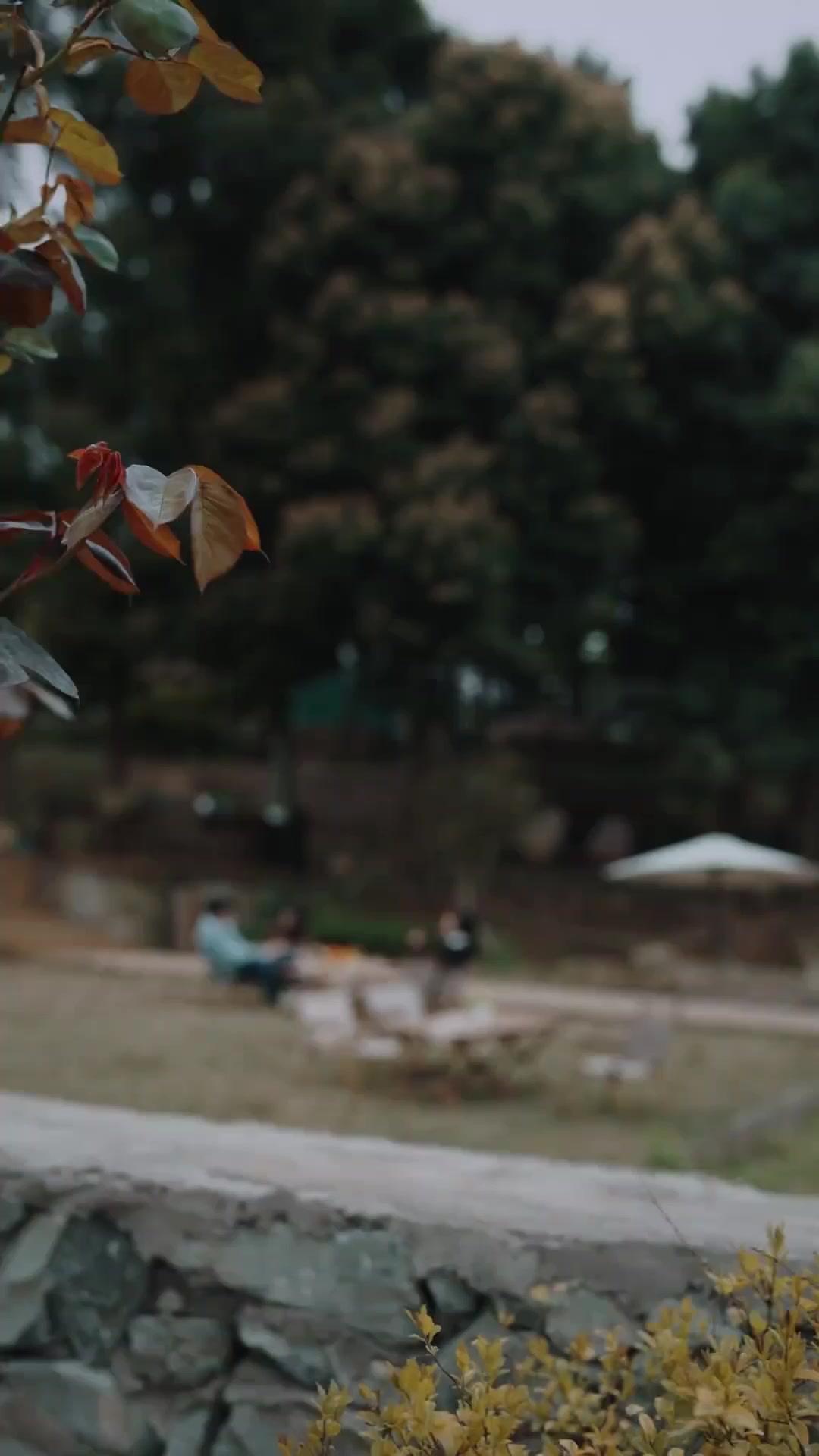 (Dubbed)Trust Me or Die