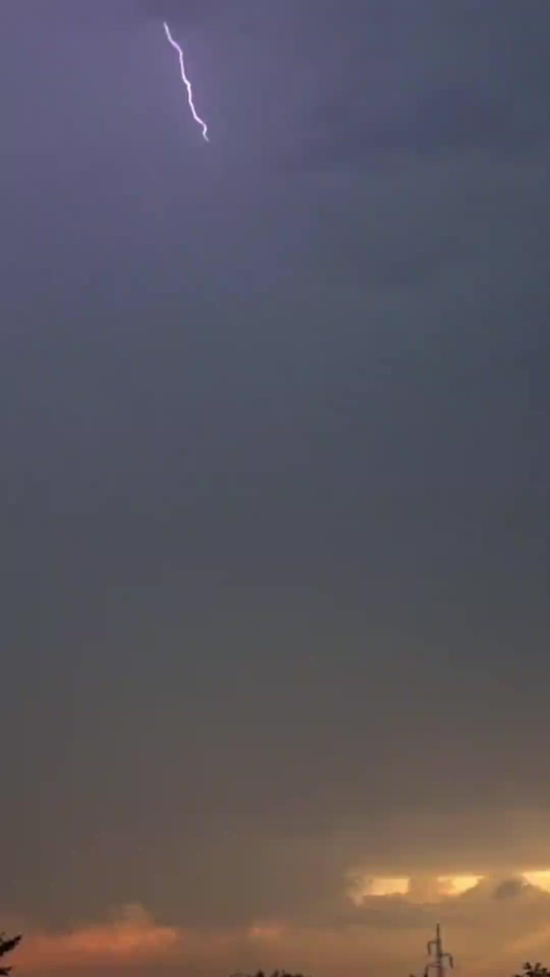 今世こそ、私は私のために