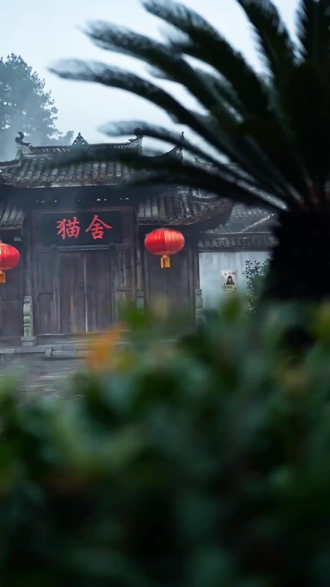 山奥の猫宿には立入禁止