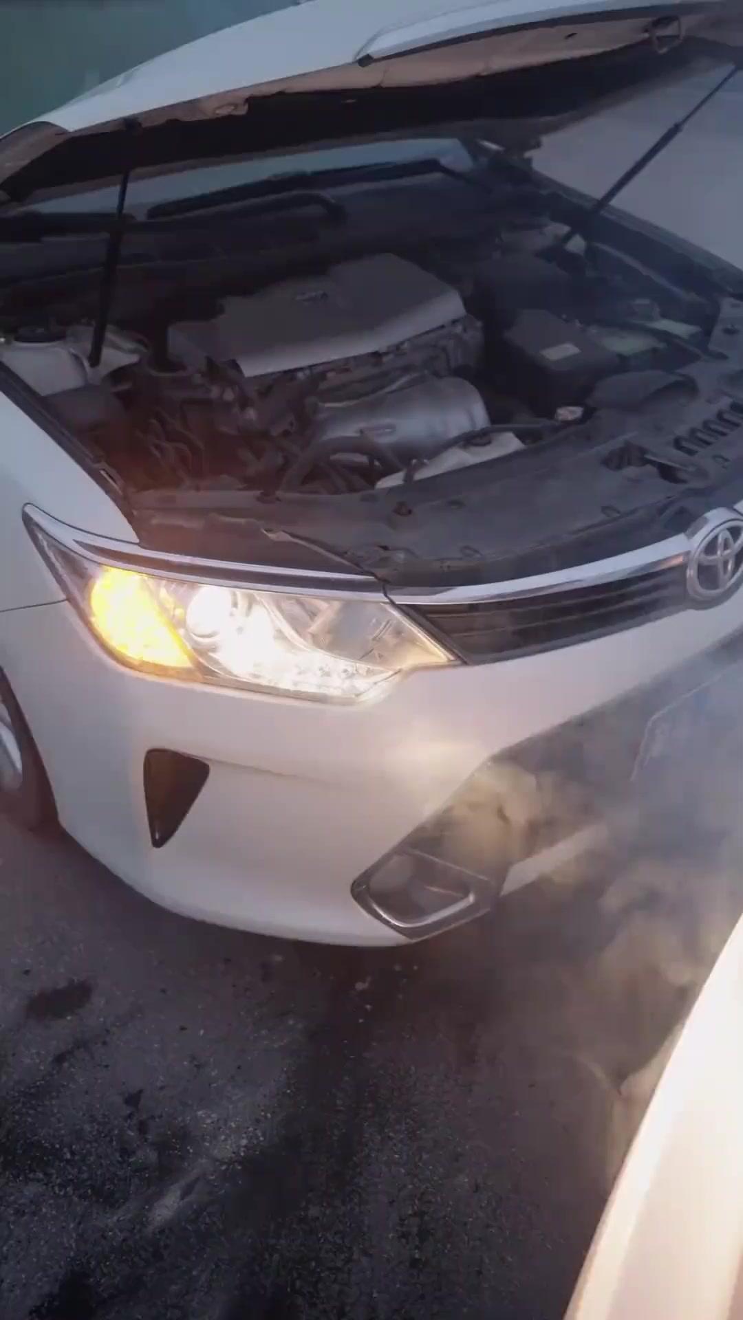 The Choice That Killed