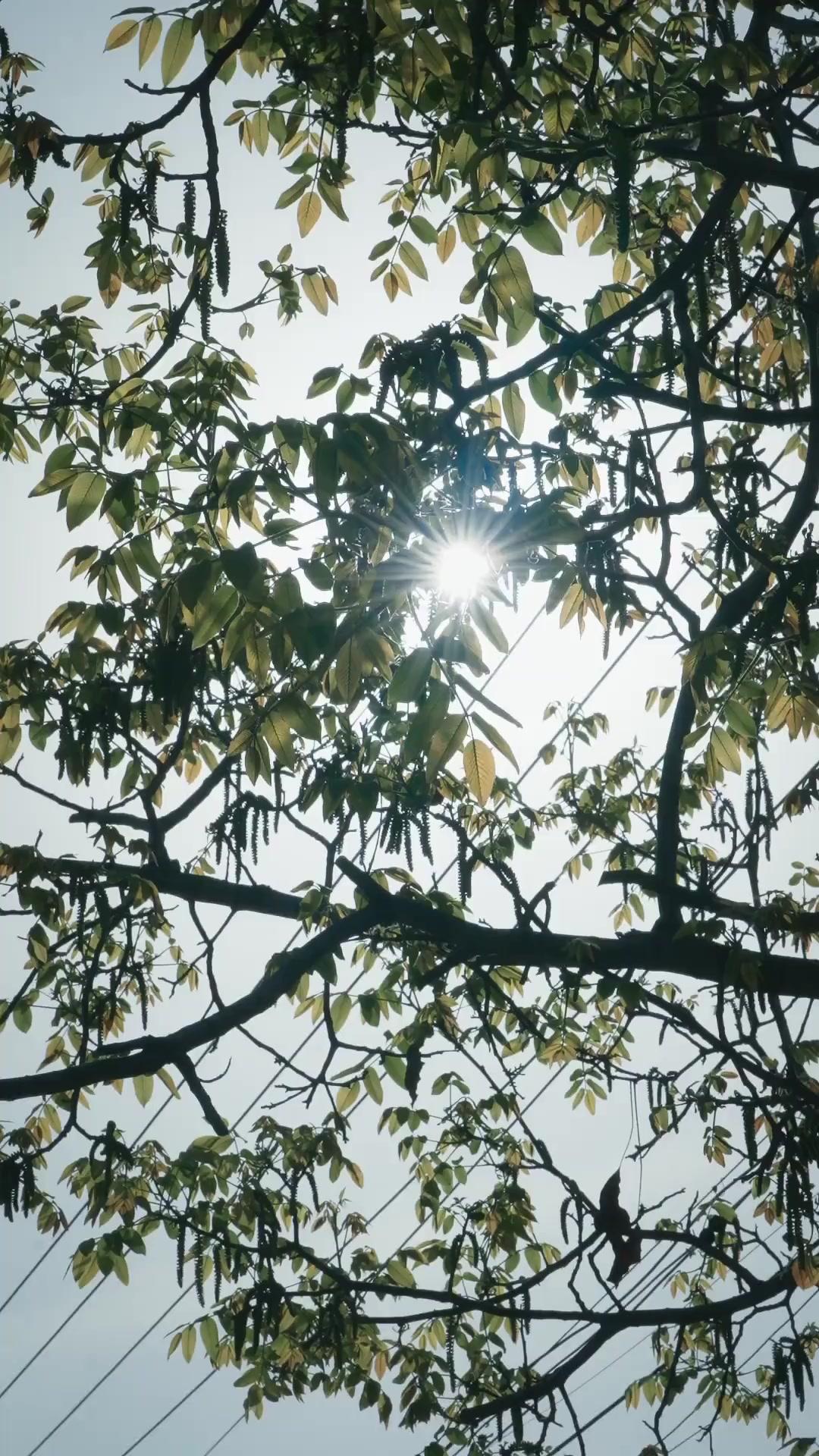 (더빙) 계약 남친의 흙수저 코스프레