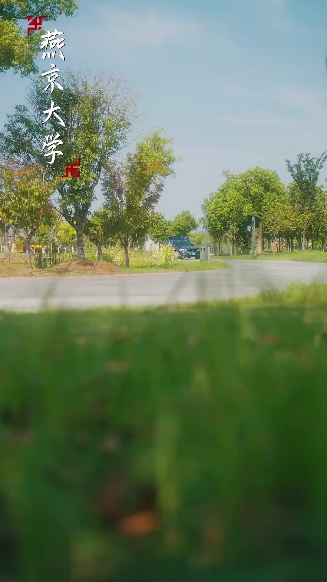 ليلٌ يوقظ اللعنة