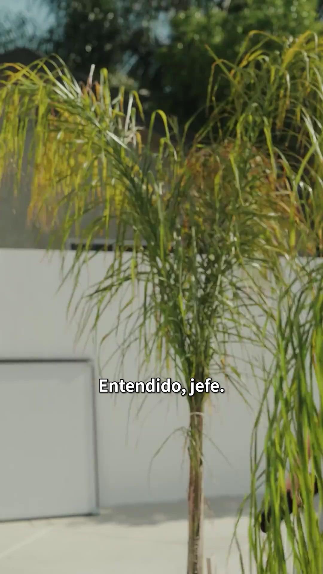 (Doblado) El regreso de la heredera caída