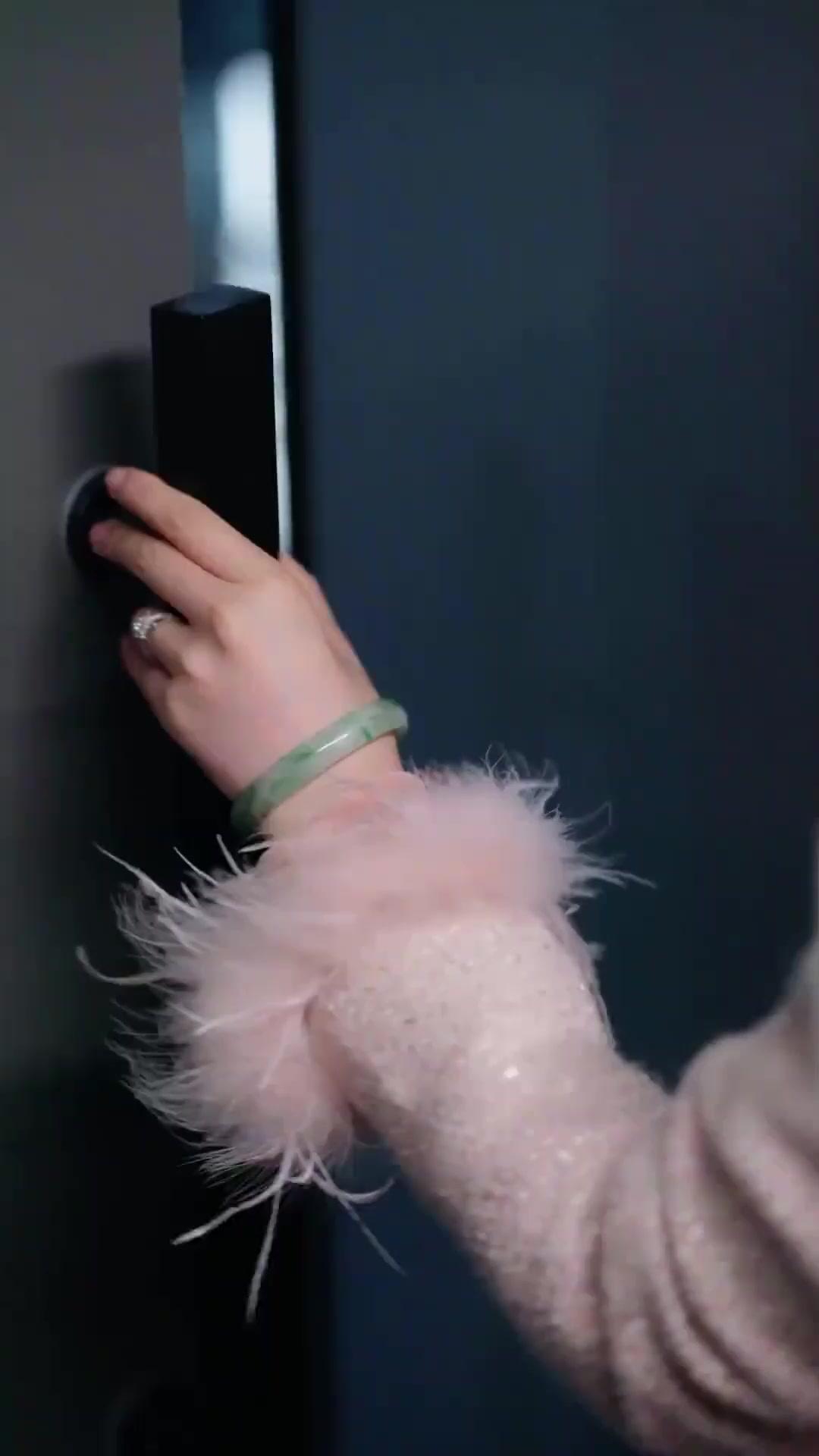 (Dublagem) Renascidas: A Escolha do Destino