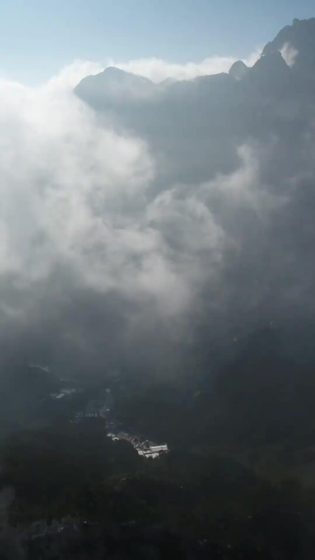 Yedi Yaşındaki Usta