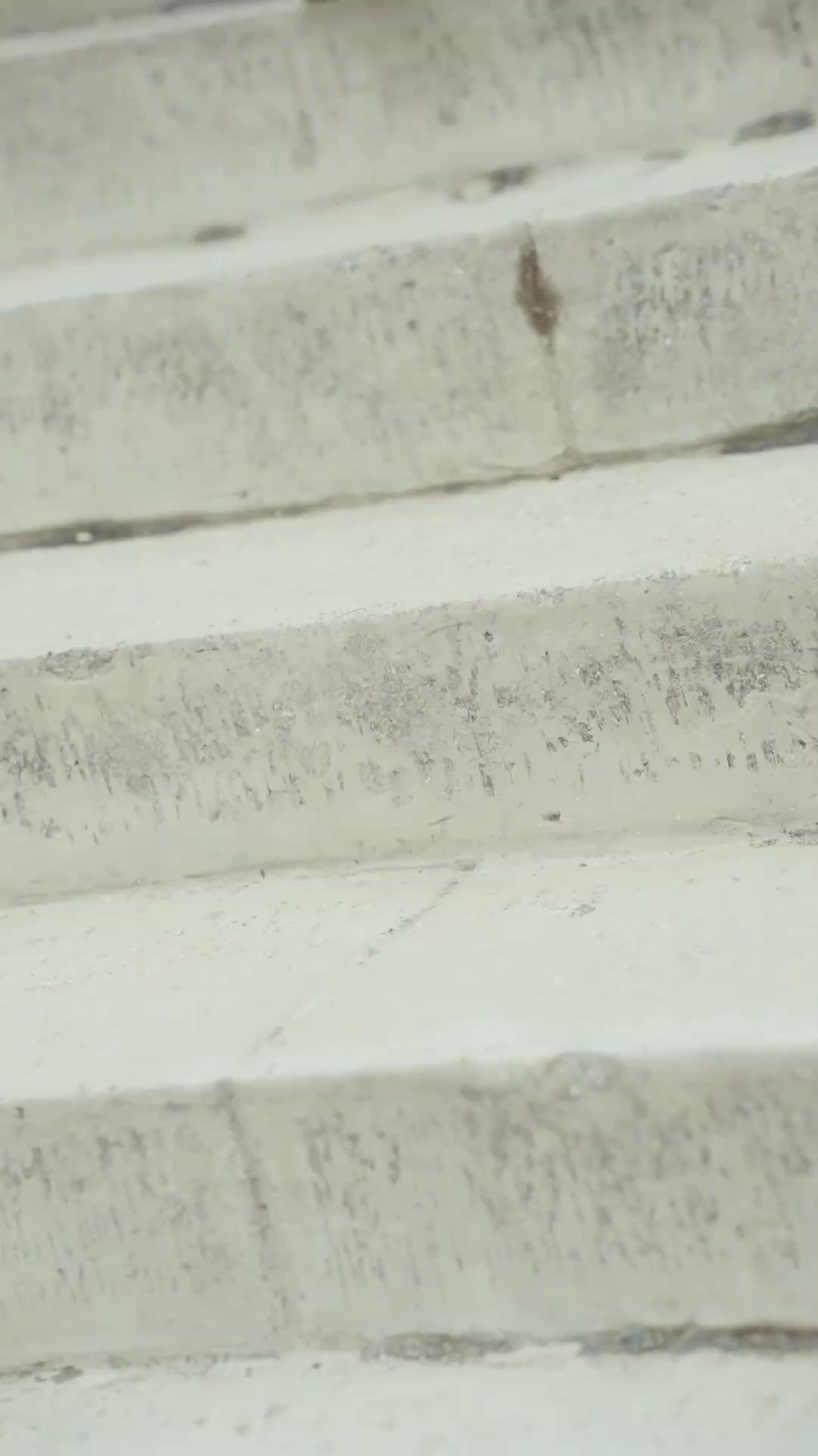 (吹き替え) 十二枚の金の牌～真情を裏切る～