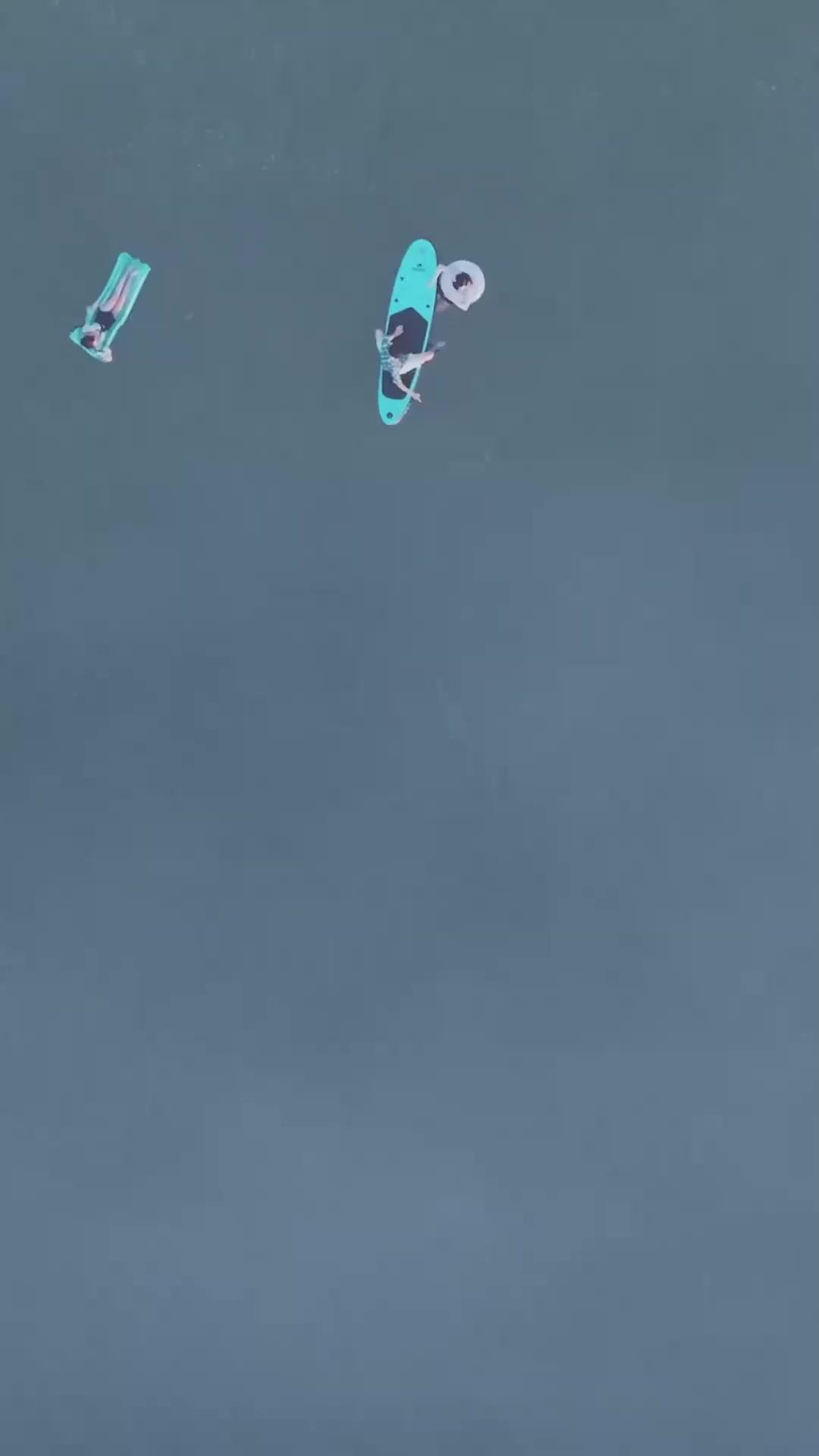 (Dublajlı) Köpekbalığı Adası