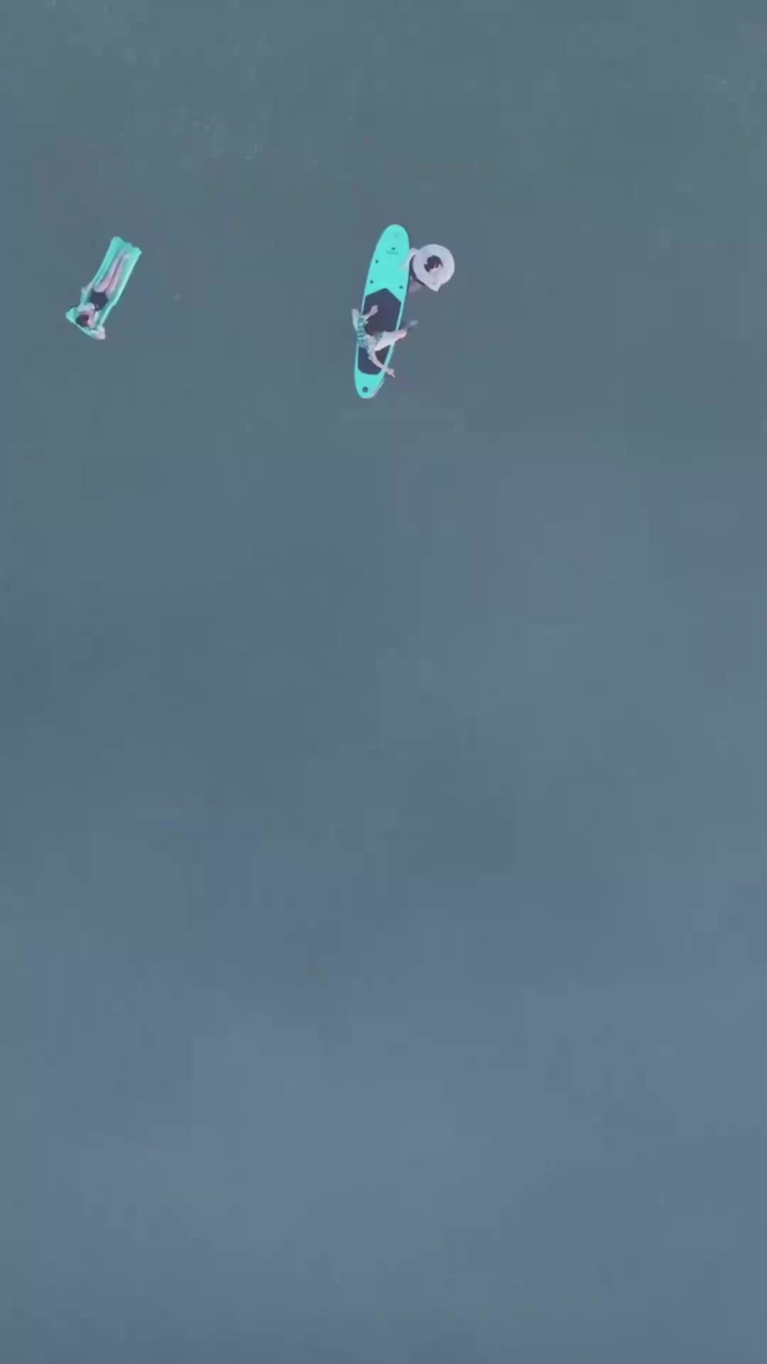 （더빙）심해의 포식자: 섬이 삼킨 배신