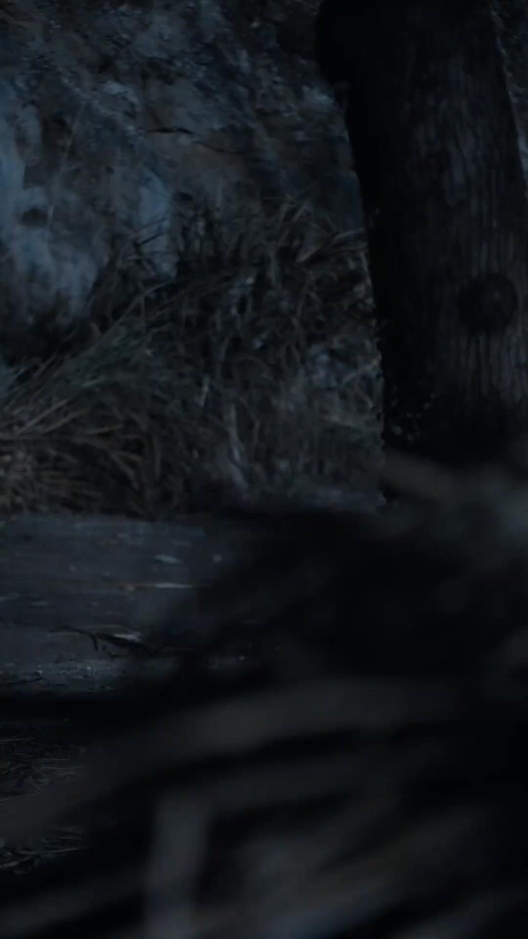 千夜の誓い～命を懸けた守護の剣～