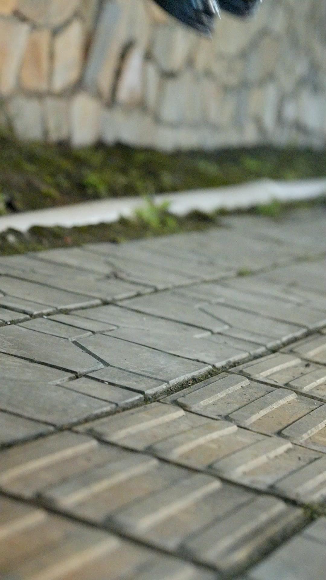 Dein Stern in meiner Nacht