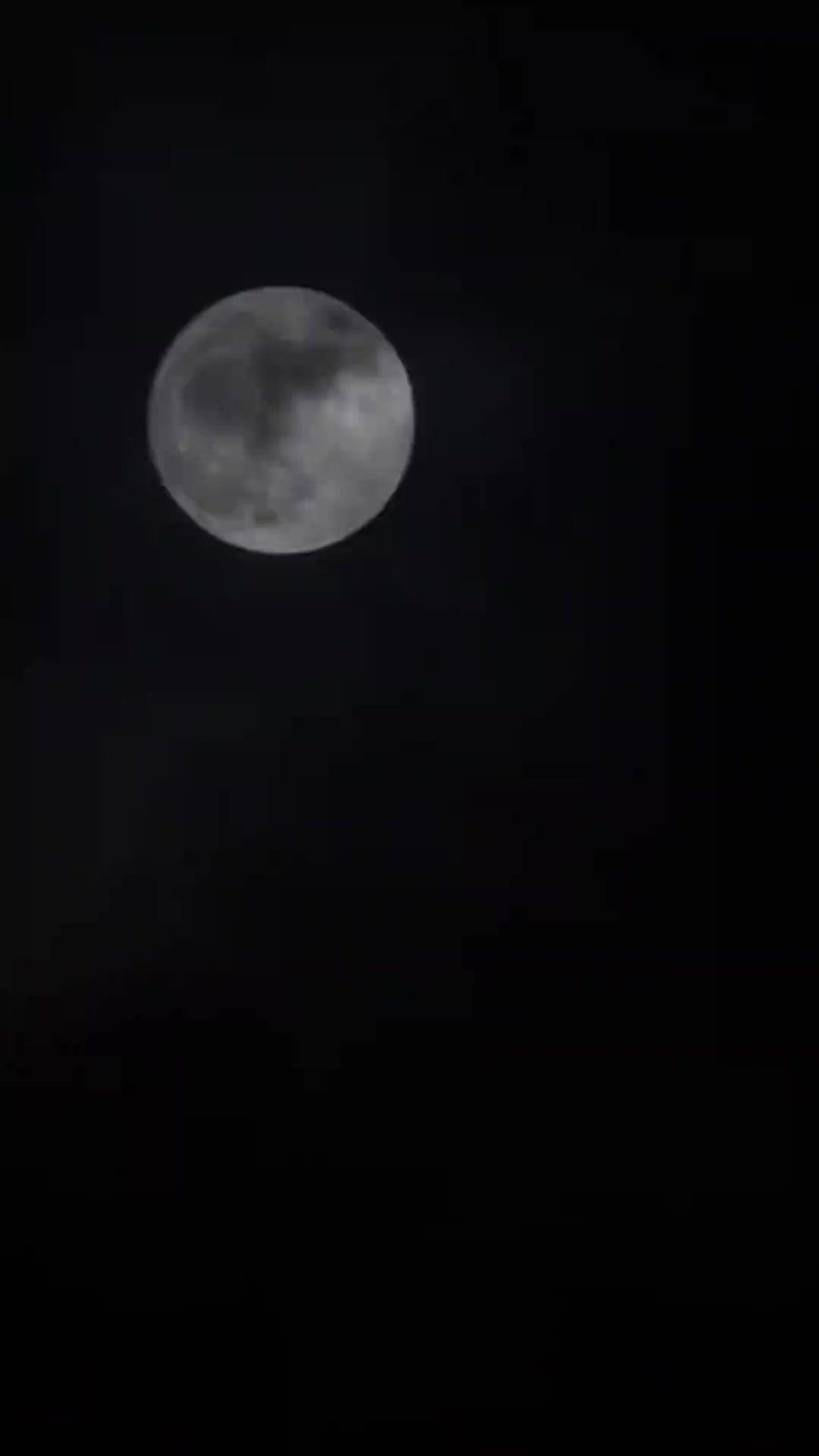 A Coadjuvante Voltou com o Roteiro!