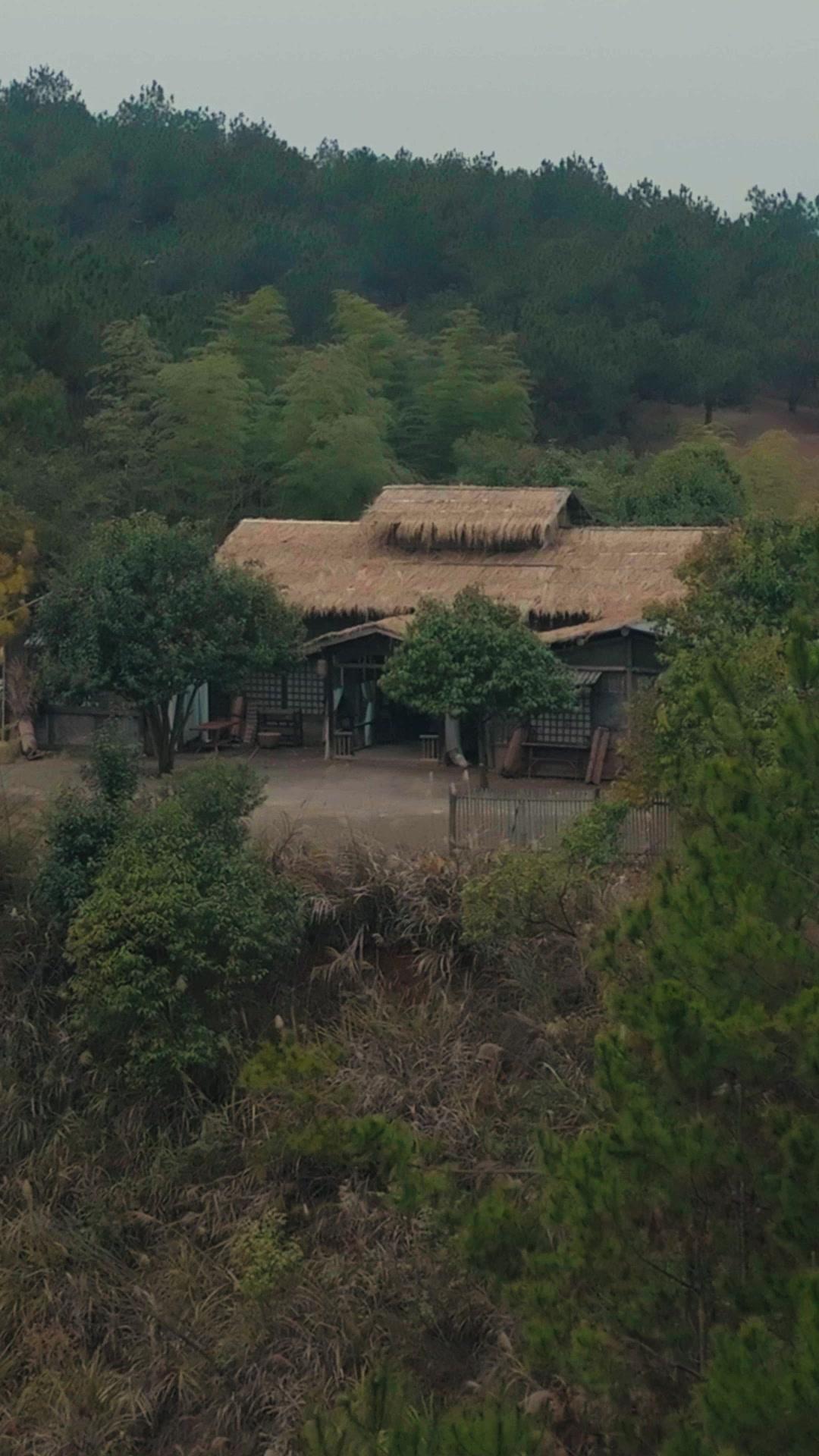 尋爹尋到金鑾殿