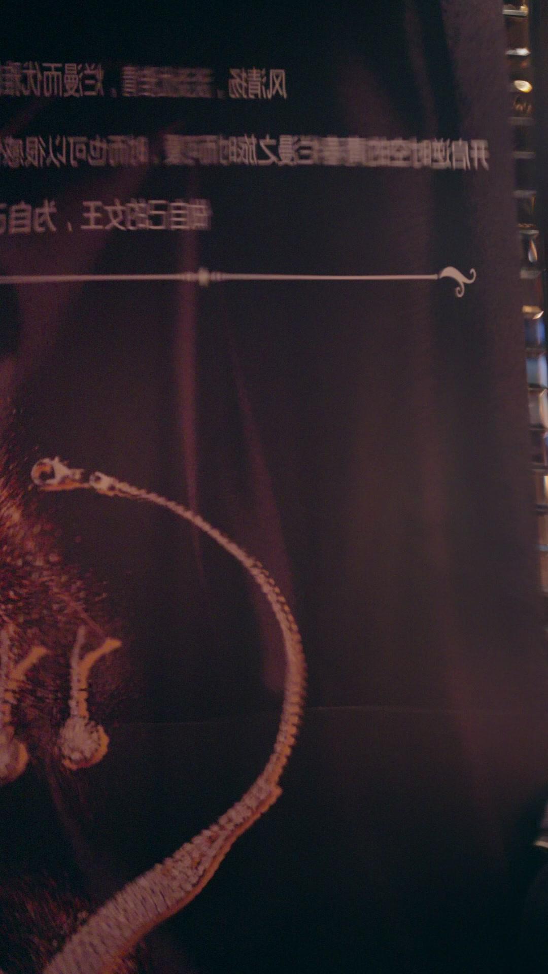 Il Trionfo dell’Amore