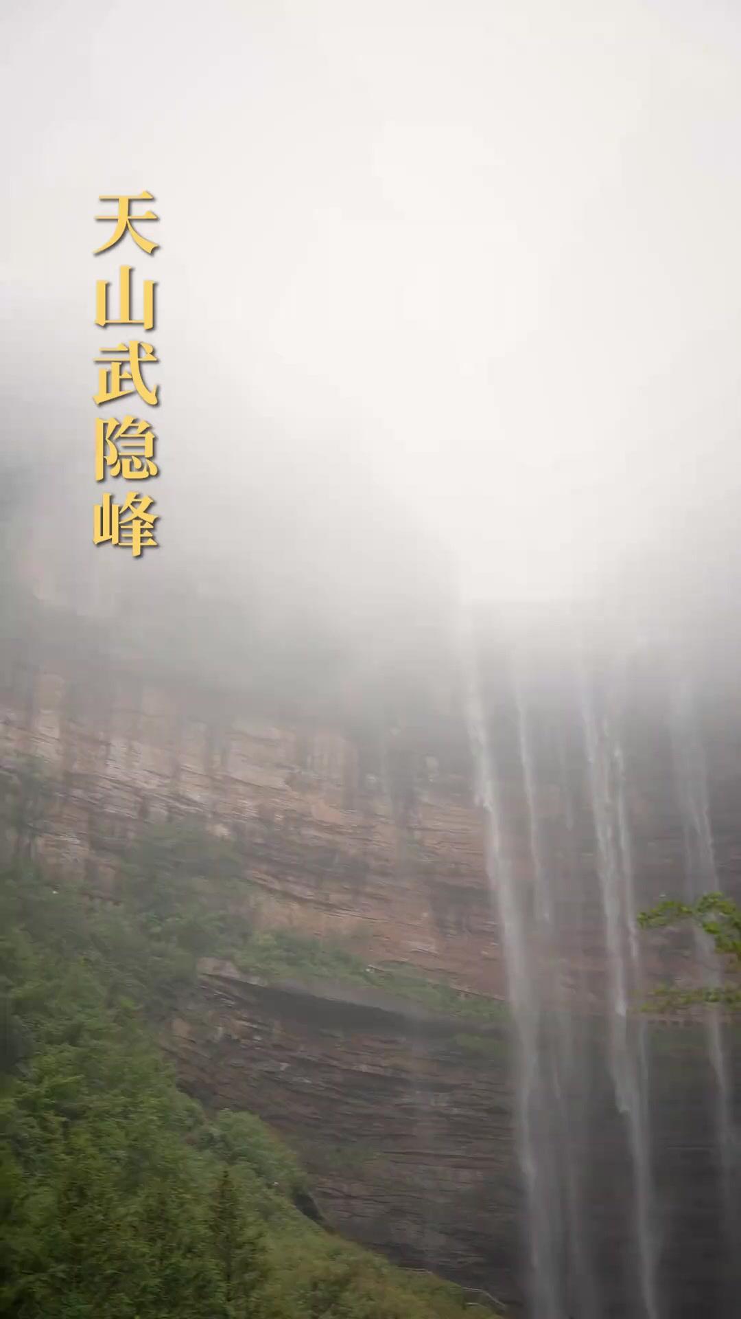 Tường Vy Truyện