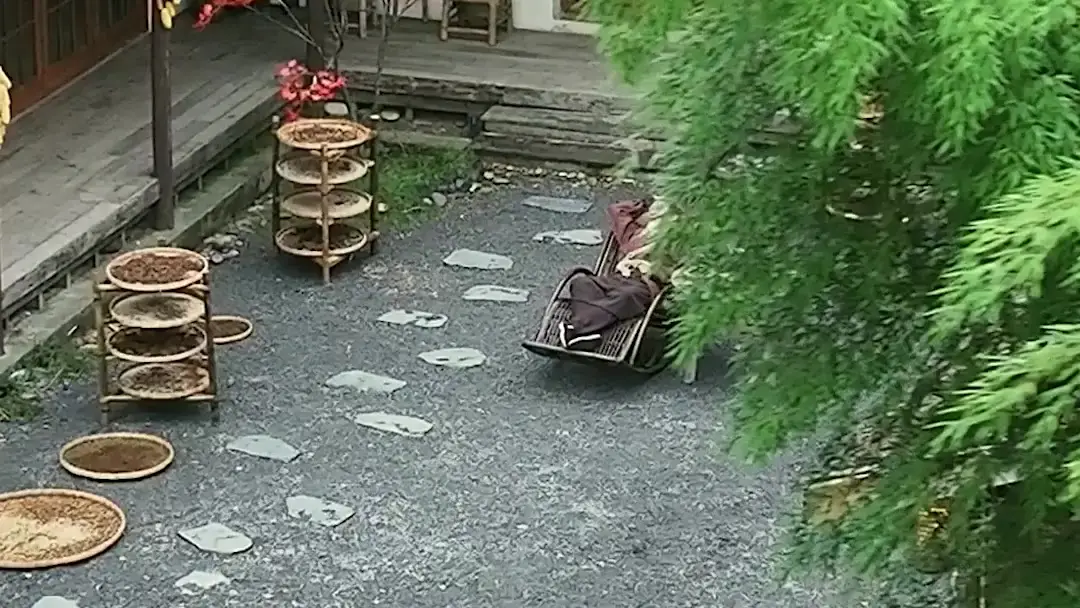 Heal Me, Marry Me: From Courtyard Chaos to Corporate Crisis—A Sign Falls, a Girl Rises