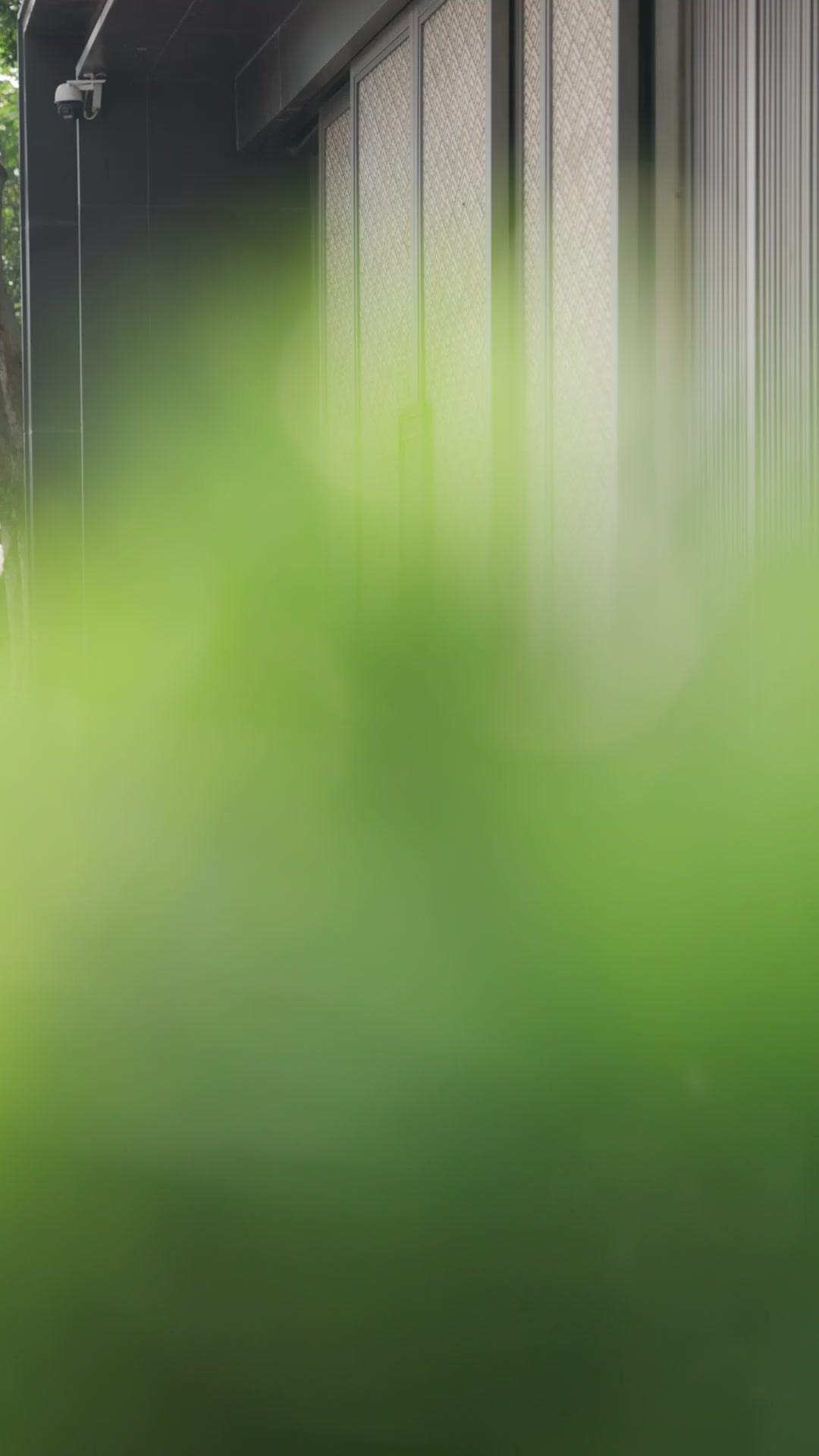 Mi vejez, mi decisión