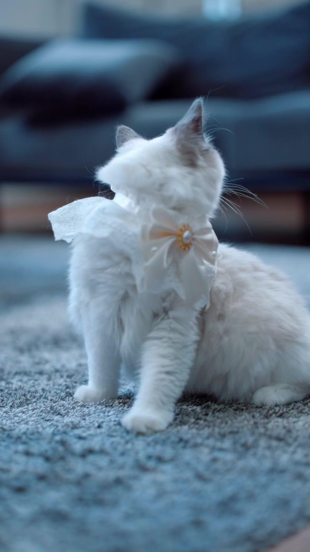 三十年の眠り、兄たちの深い後悔