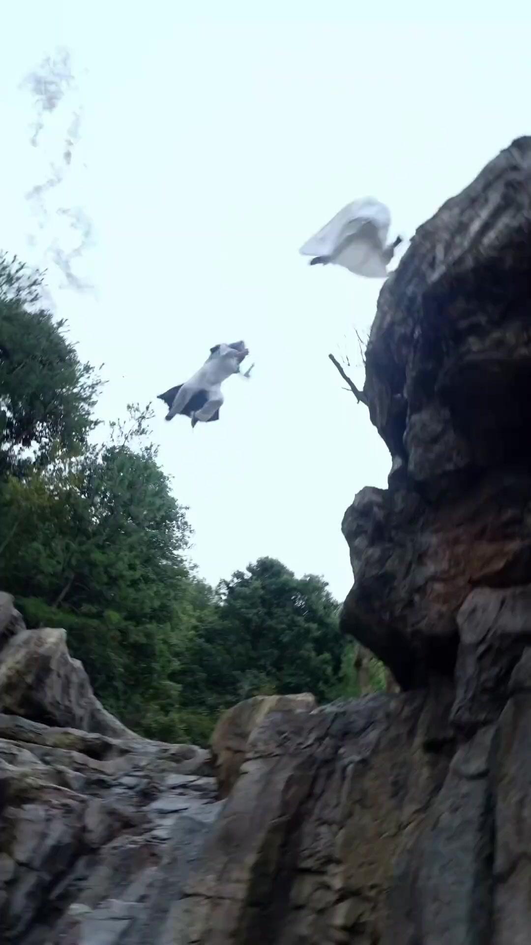 سيد الطب والانتقام