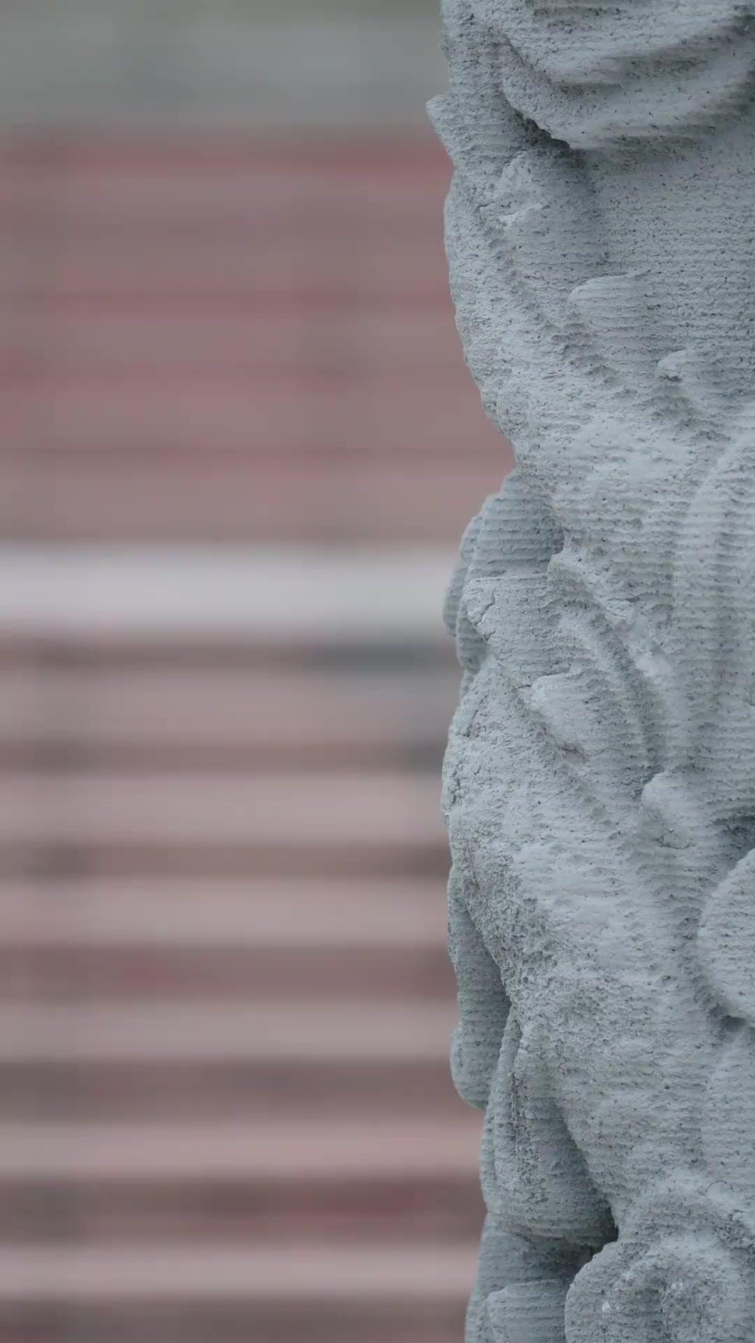 (Doblado)Honor bajo la sombra