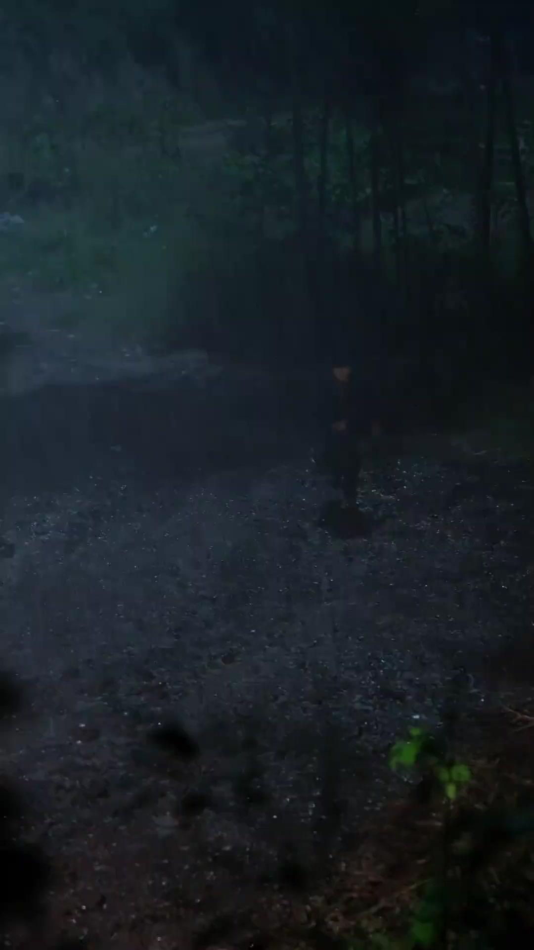 LA PETITE MAÎTRESSE DES OMBRES