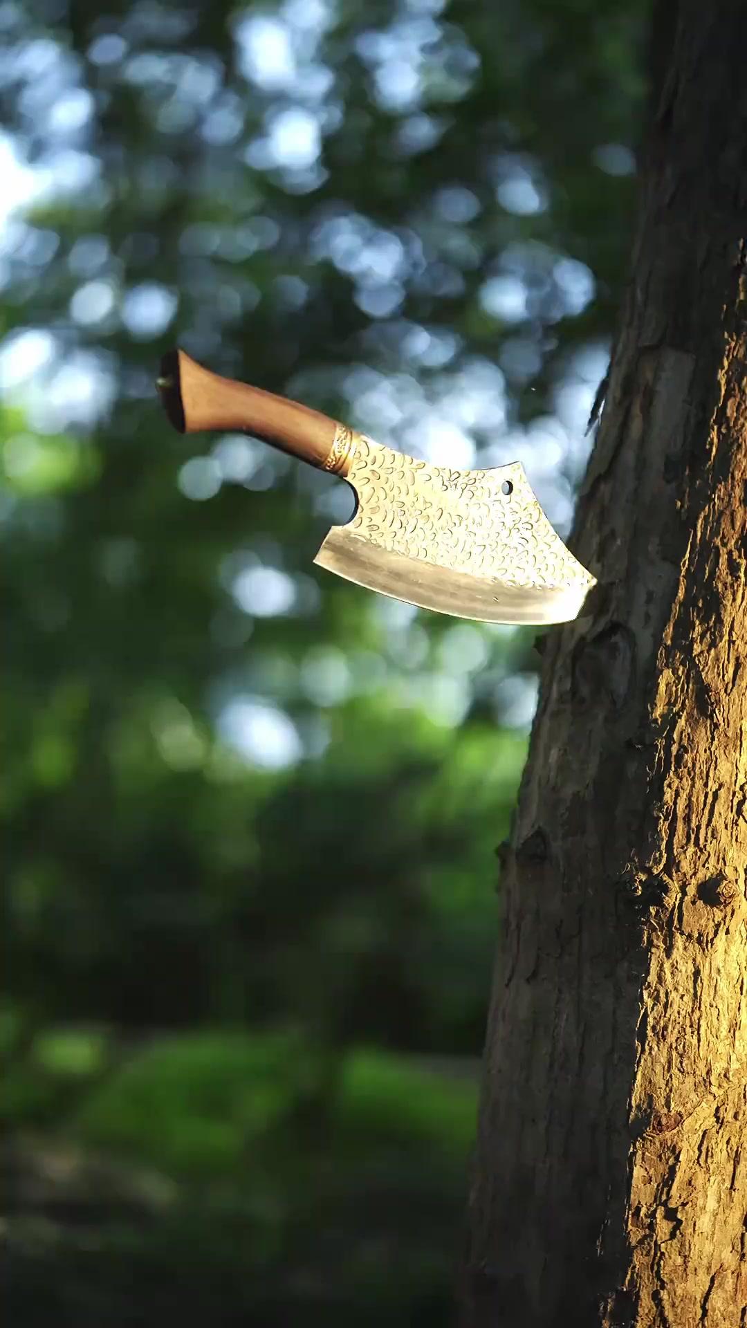 Satu Pisau, Seribu Harapan