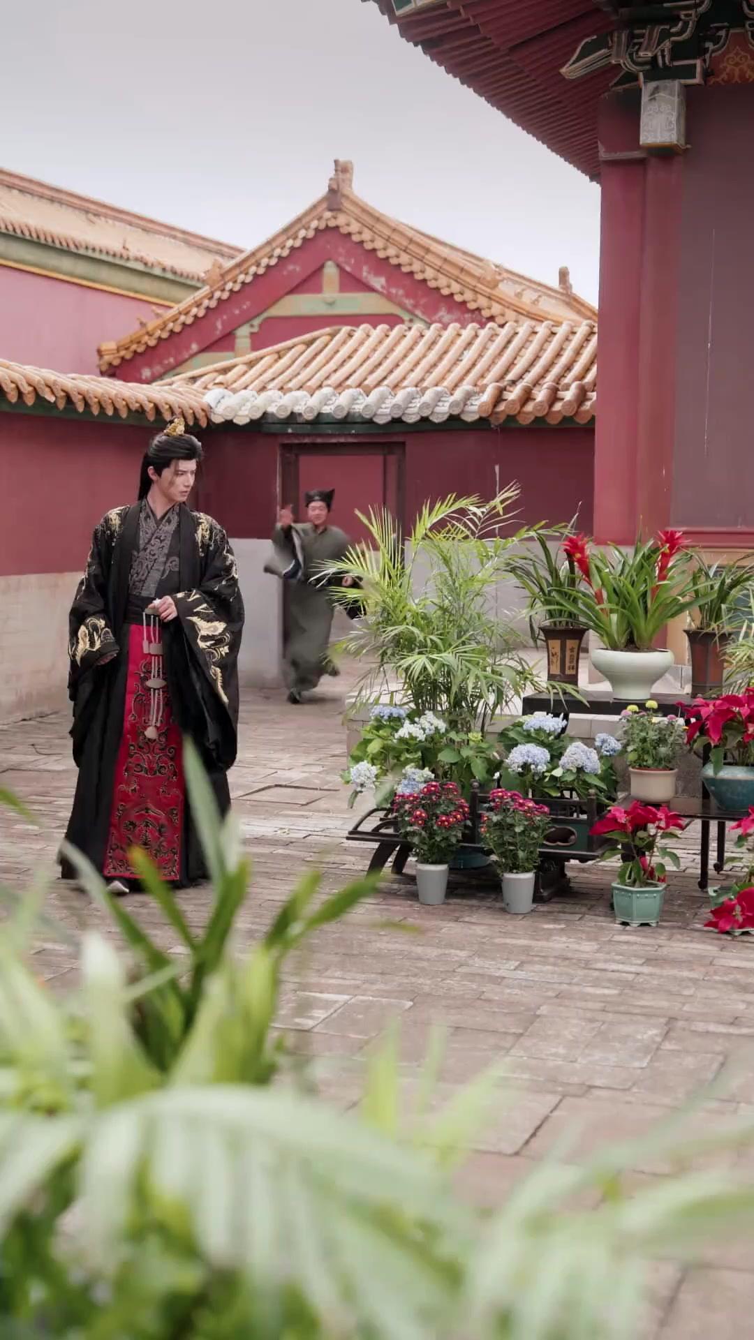 Anjinha da Sorte Imperial