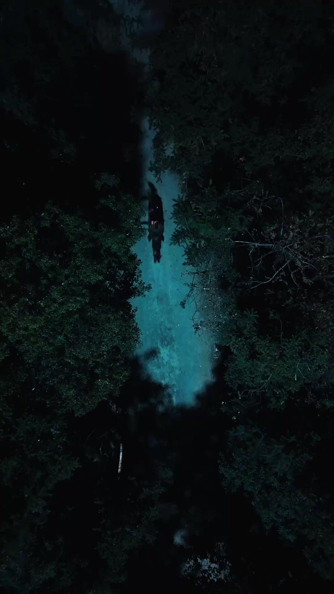 (Lồng tiếng) Kiêu Sĩ Vô Cương