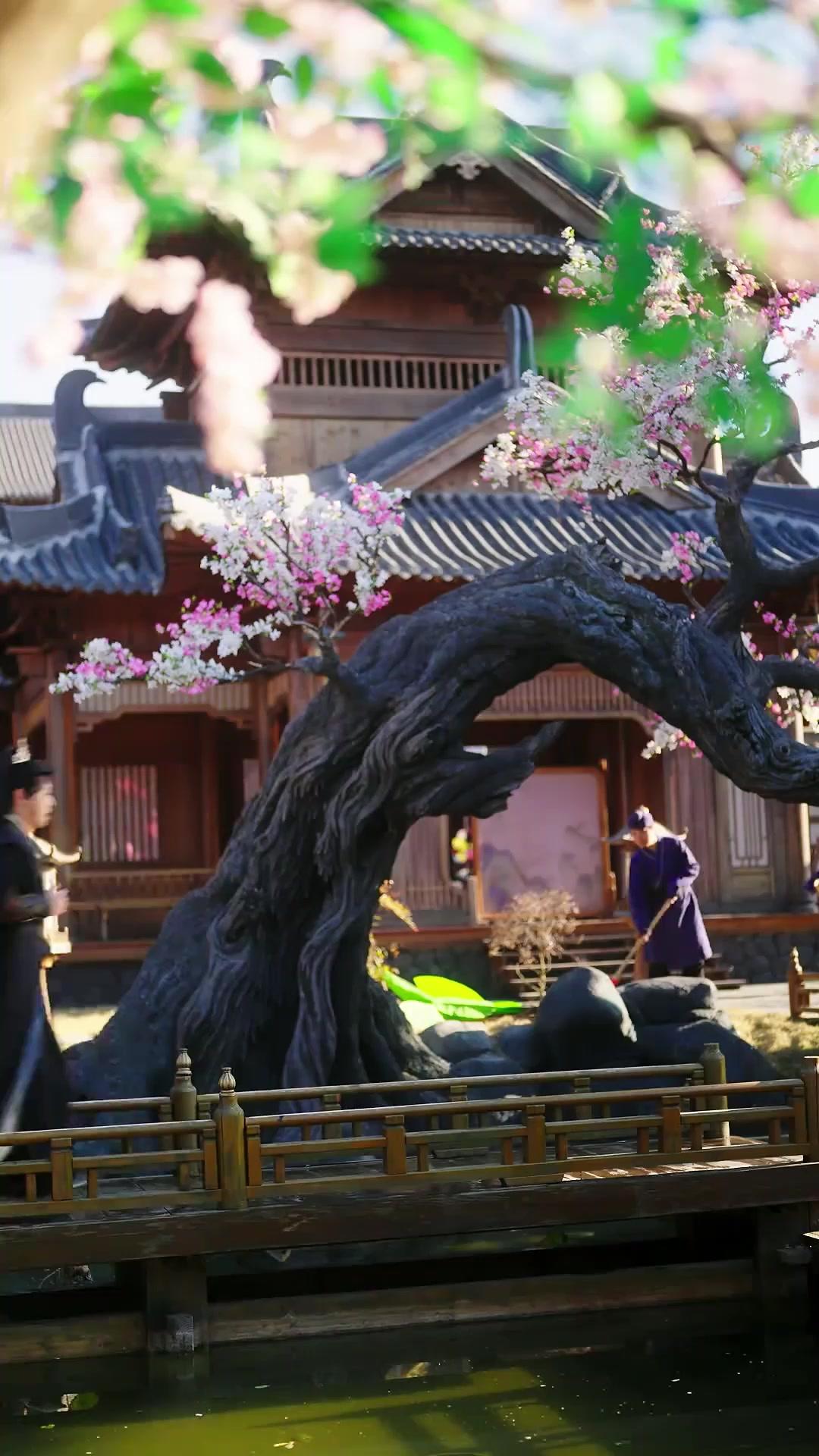 El trono es mi destino